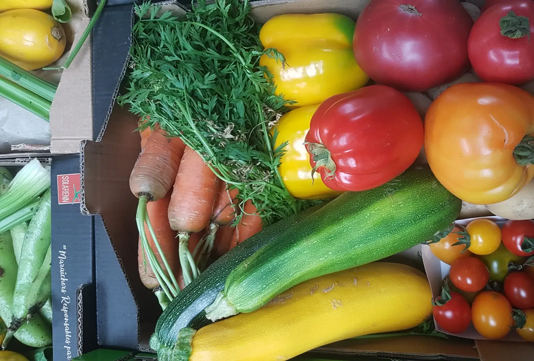 Panier de légumes de saison à 20 €