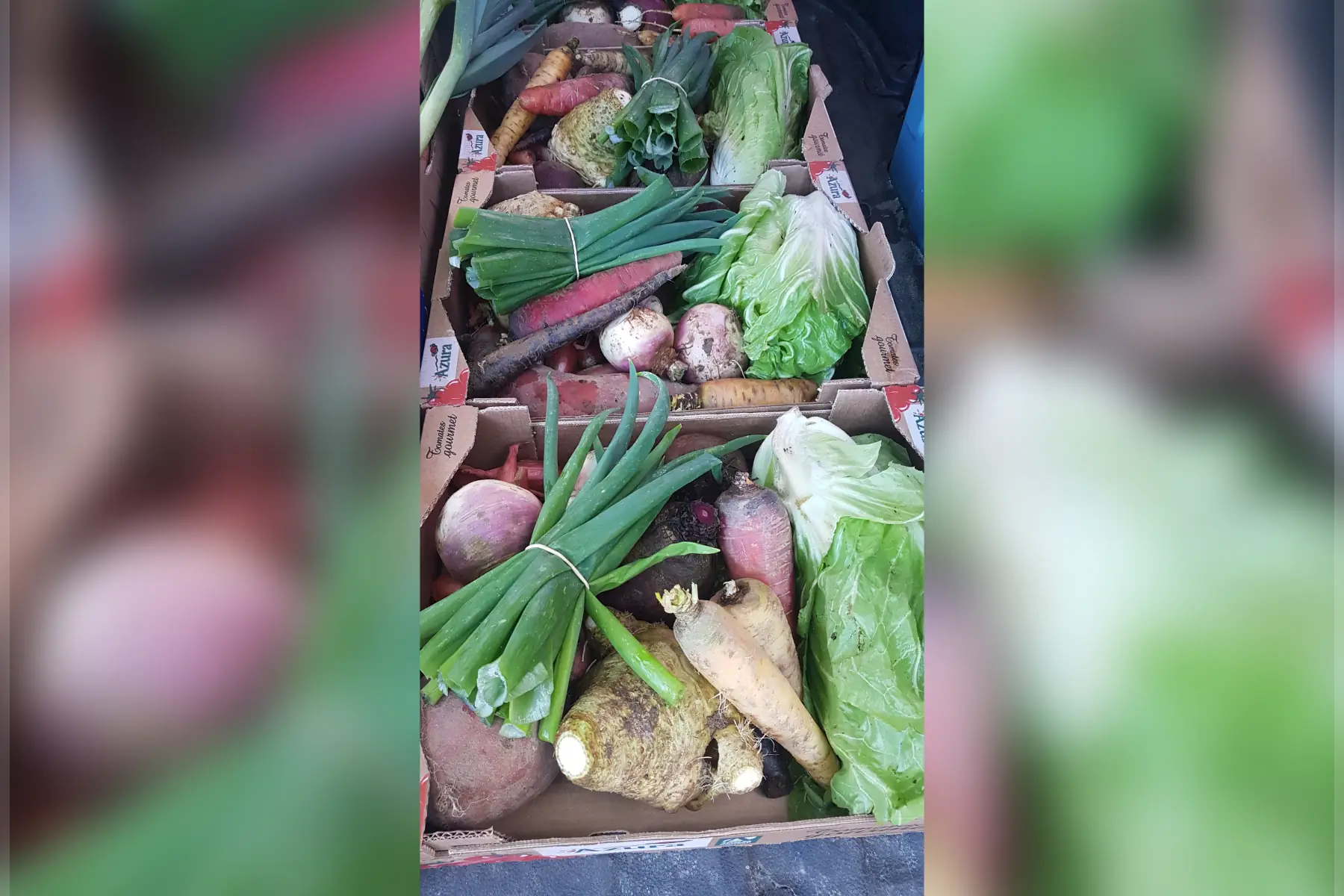 panier de légumes de saison à 16 €