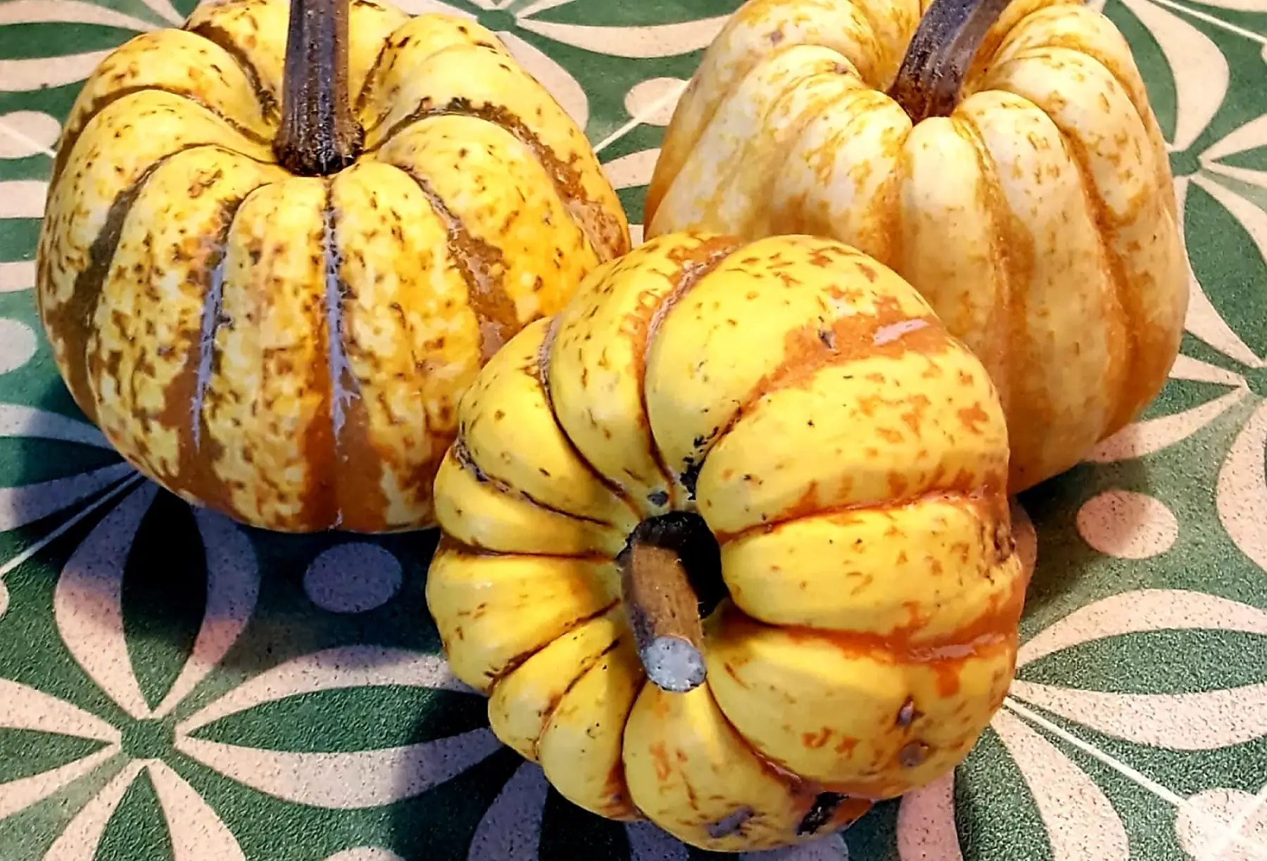 les jardins du Tellier