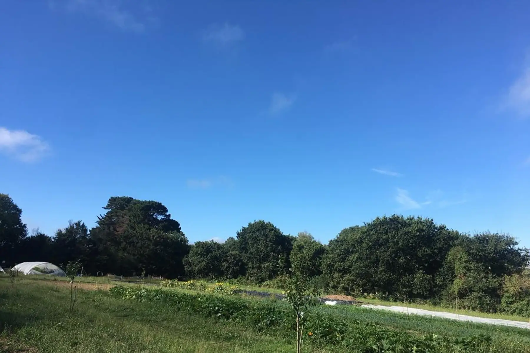 Les Jardins de Terre Nevez