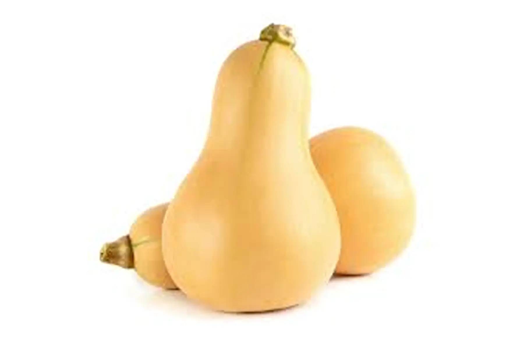 butternut