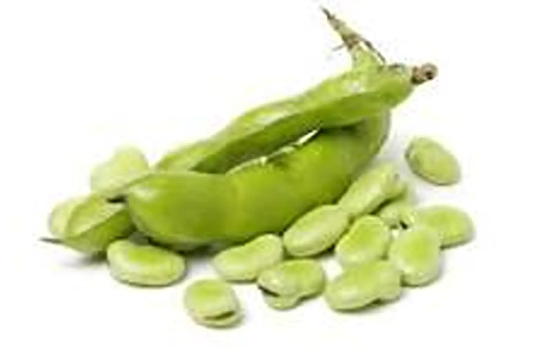 fève