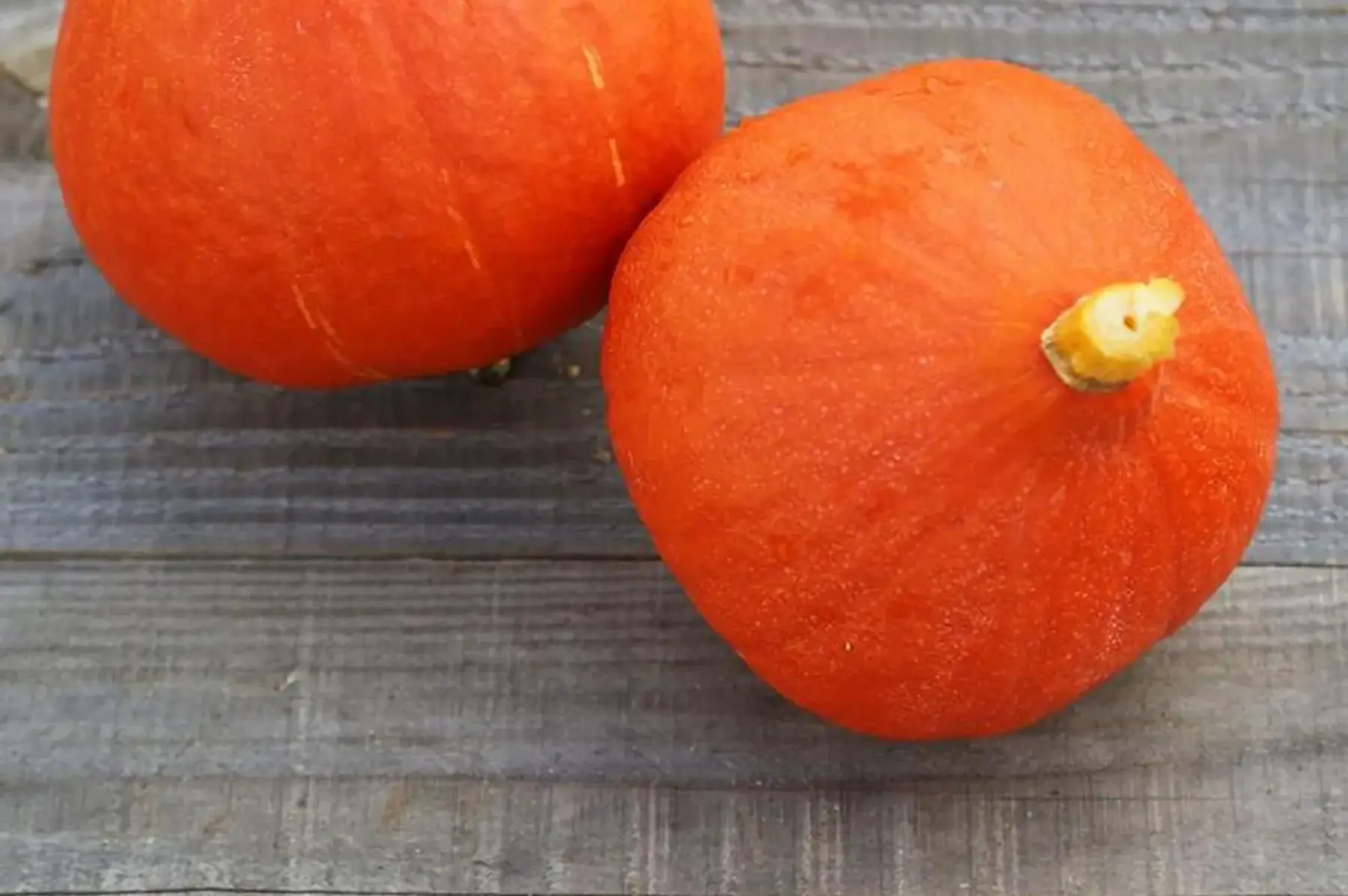 courge potimarron moyenne pièce d'environ 500g