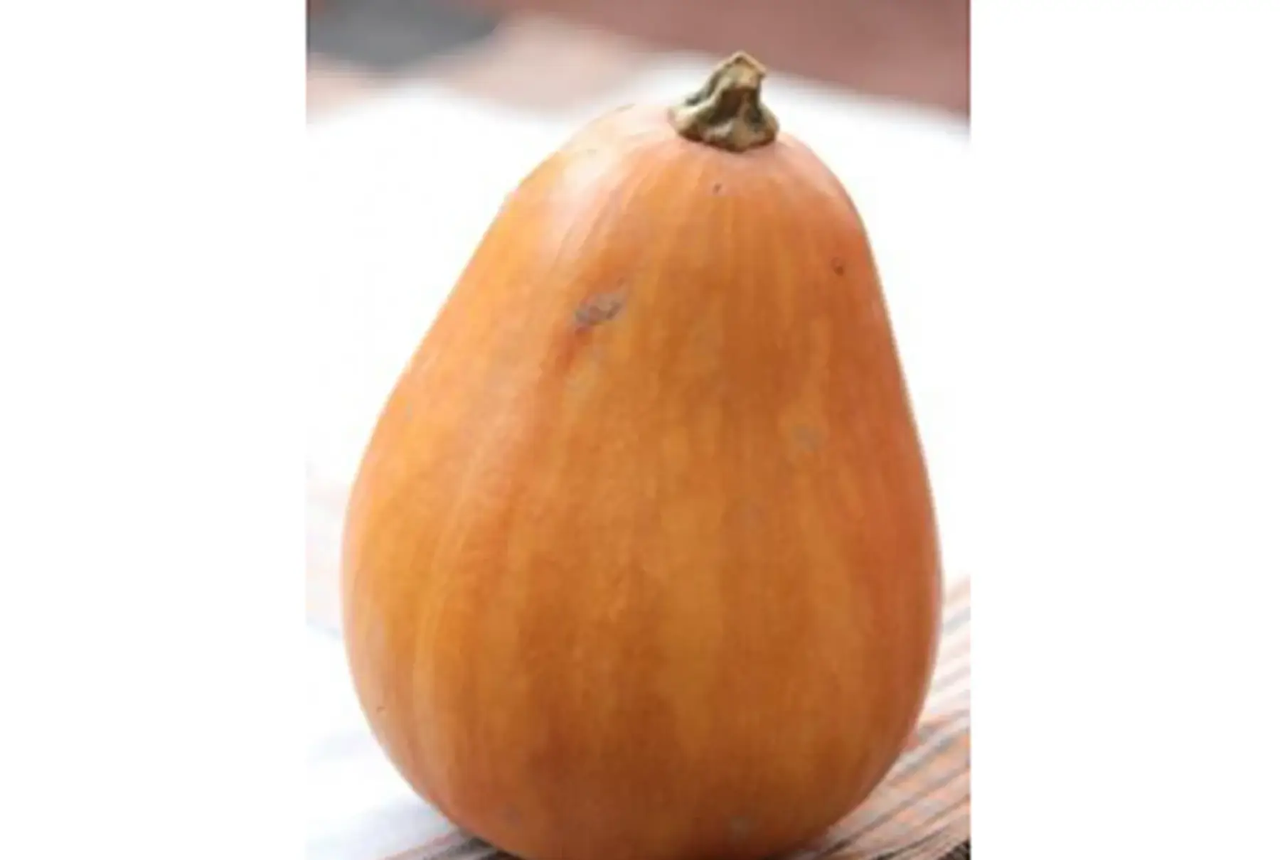 courge sucrine du berry petite pièce d'environ 1.2kg