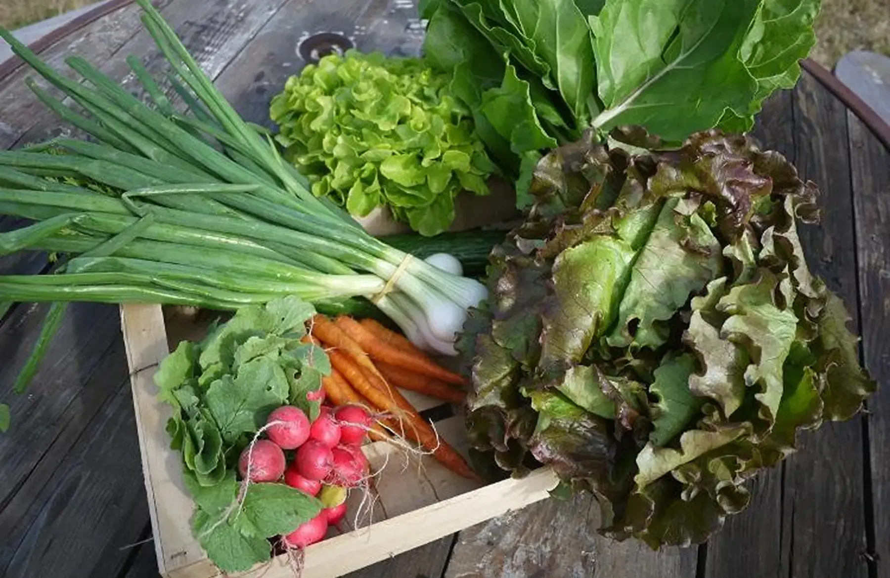 - panier de légumes prédéfini (cf description) - 15€