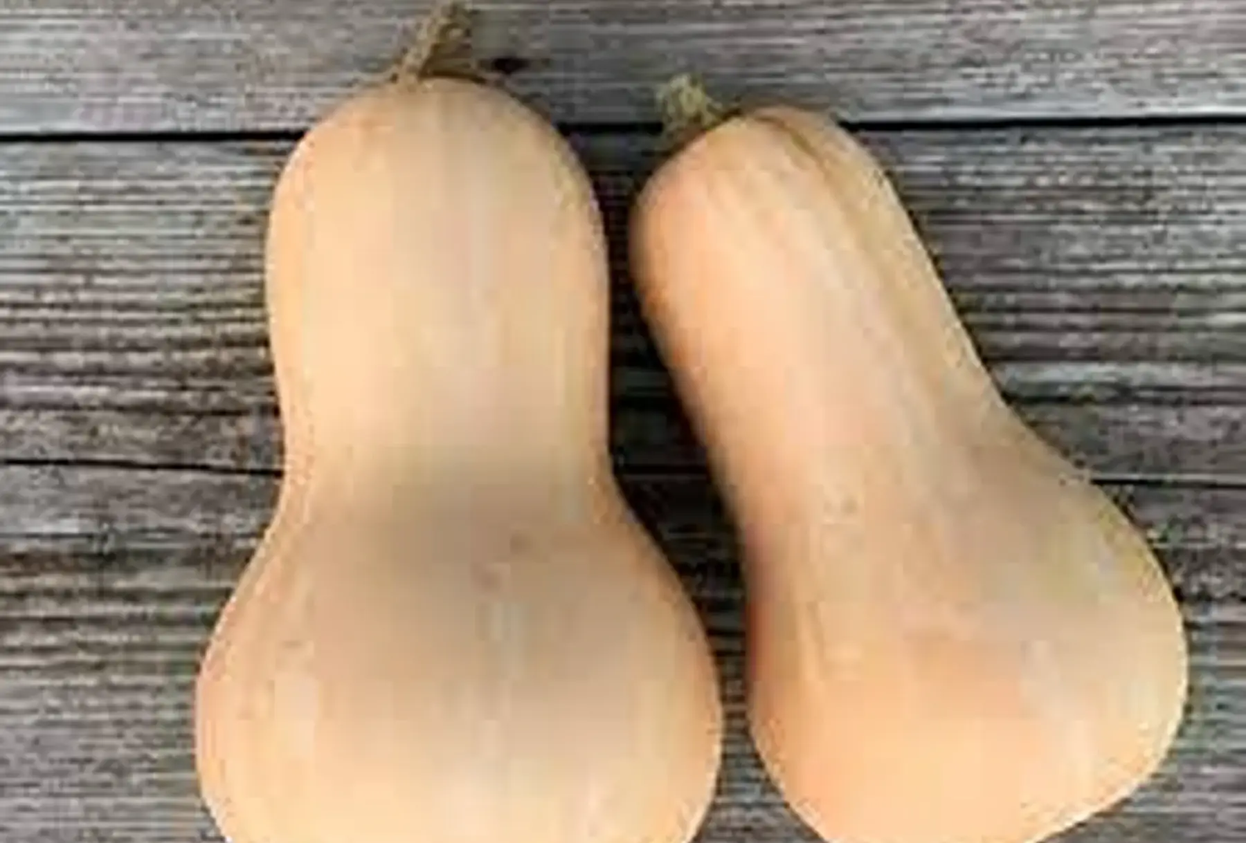 courge butternut moyenne pièce d'environ 1kg300