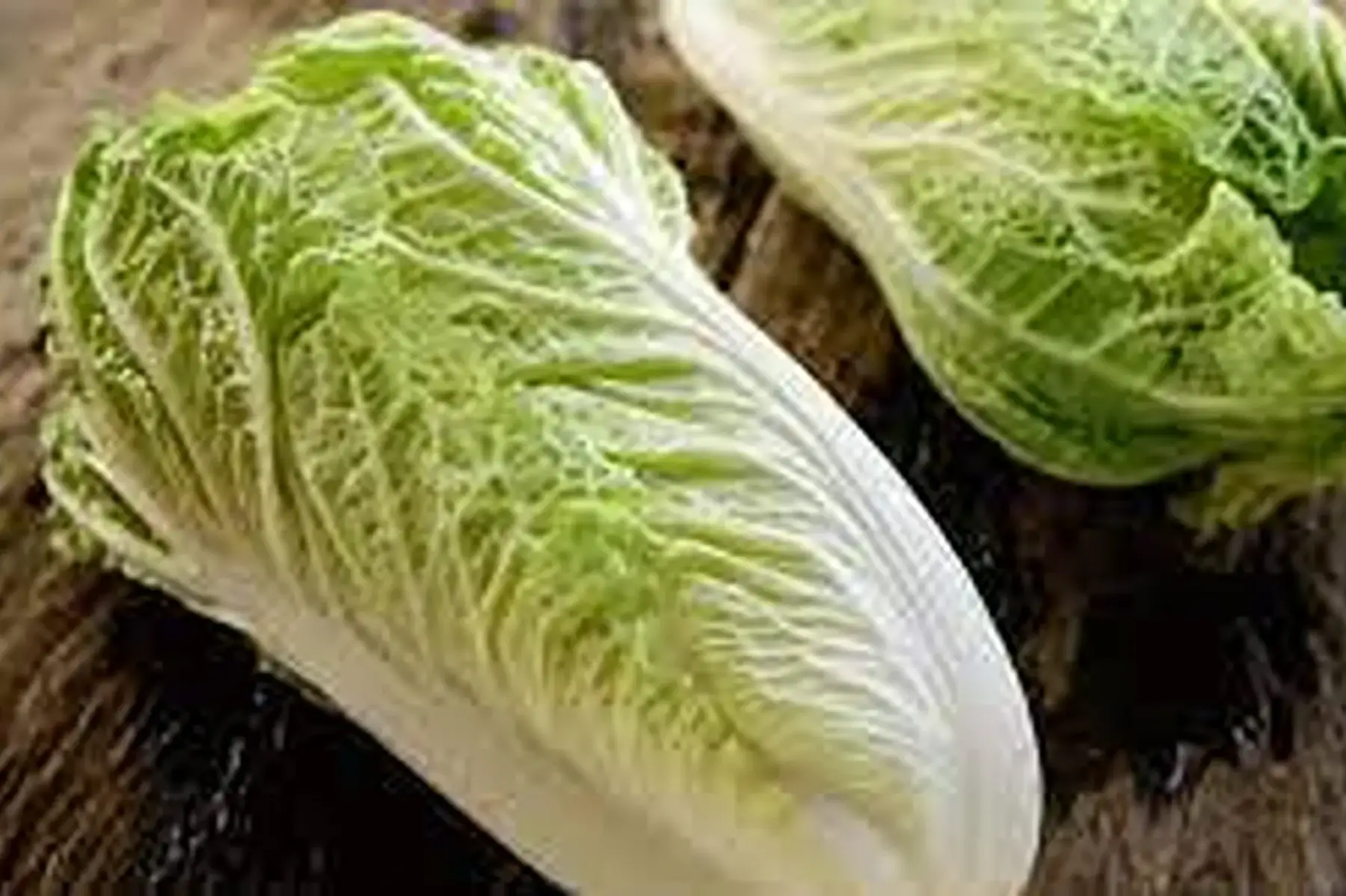 chou chinois (pièce de 900g)