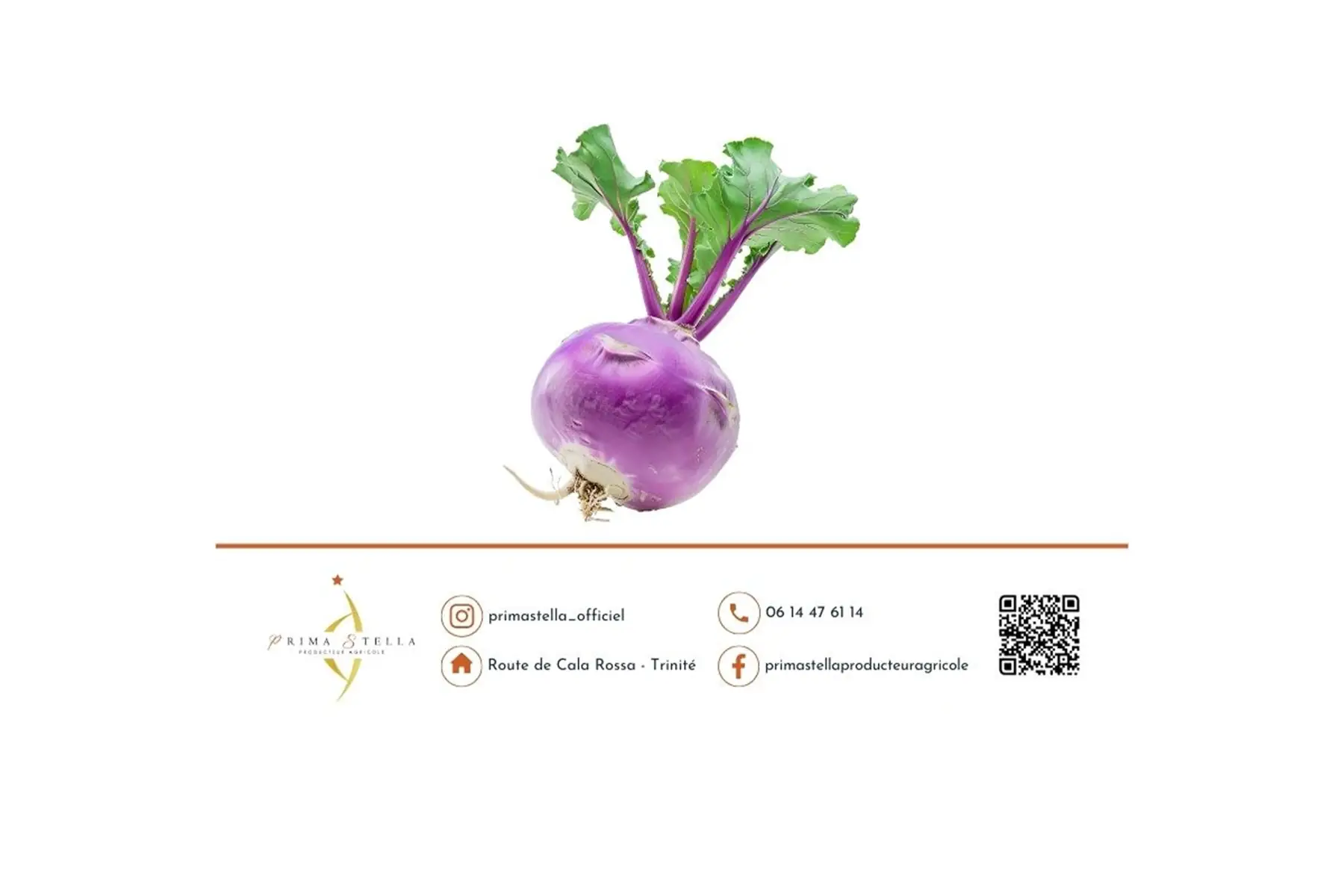 CHOU RAVE (à la pièce)