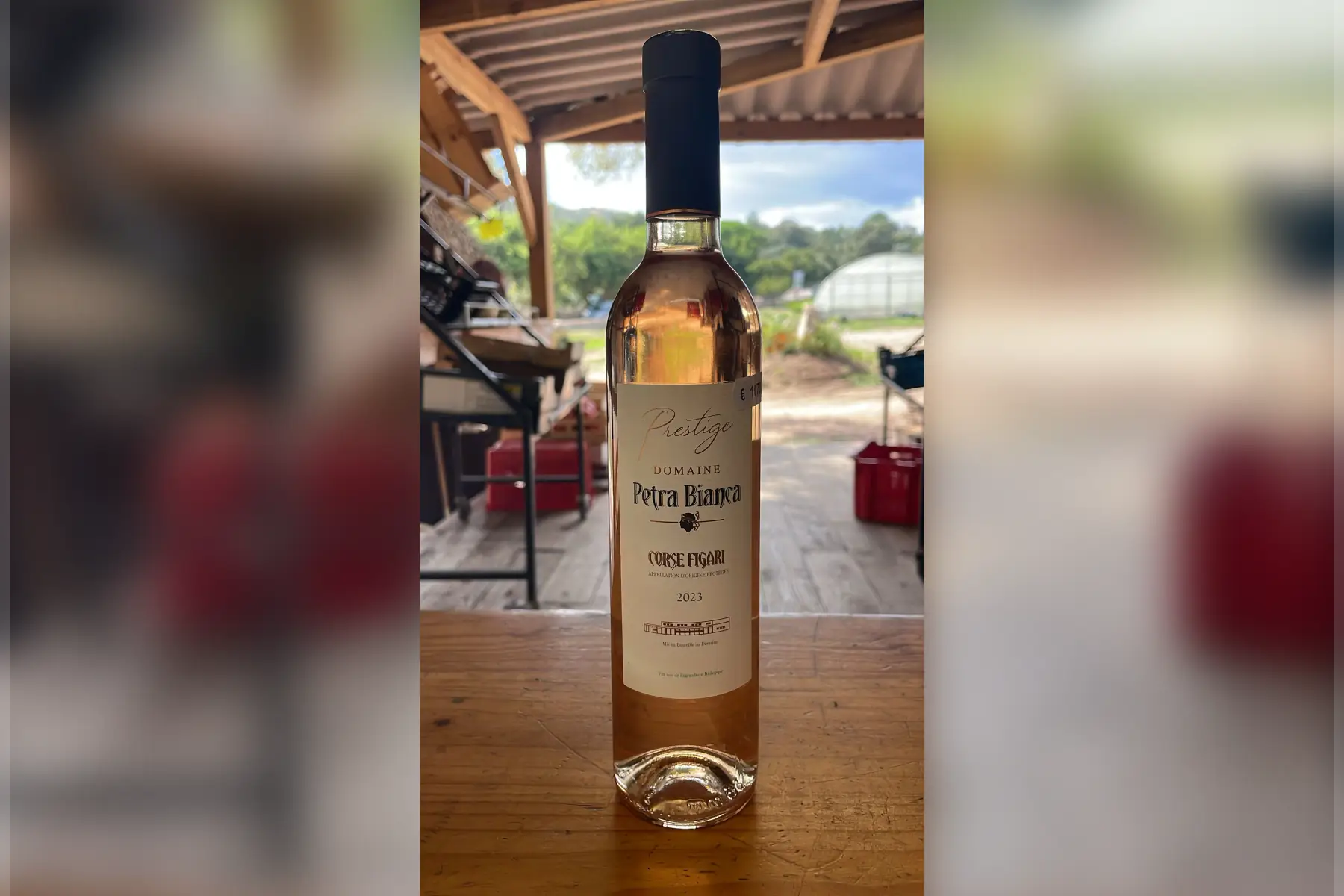 Petra Bianca (rosé, 50 cl) – 10,70 €