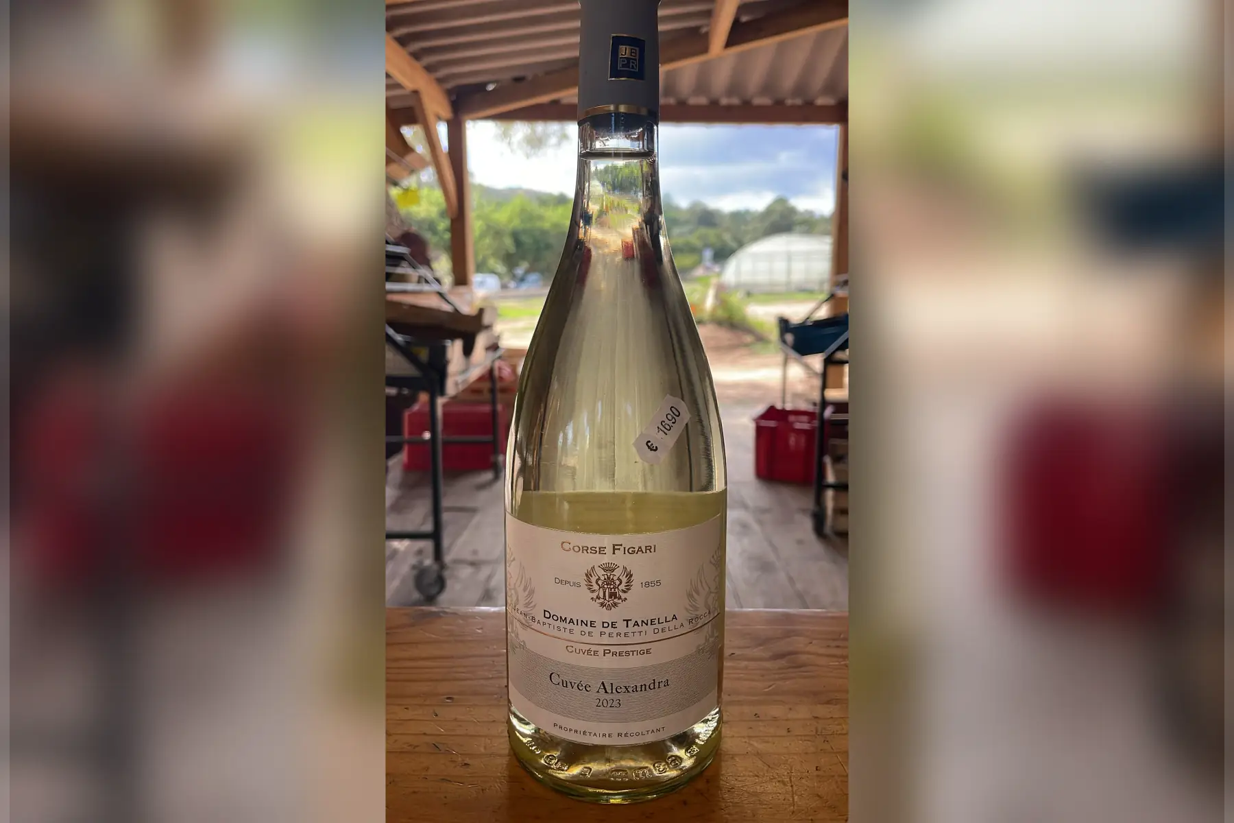 Domaine de Tanella (blanc) – 16,90 €