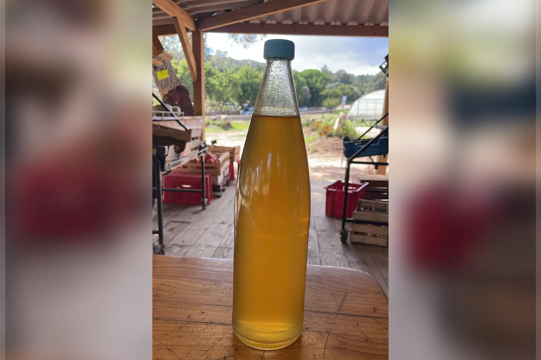 Liqueur Artisanal 1L (orange)