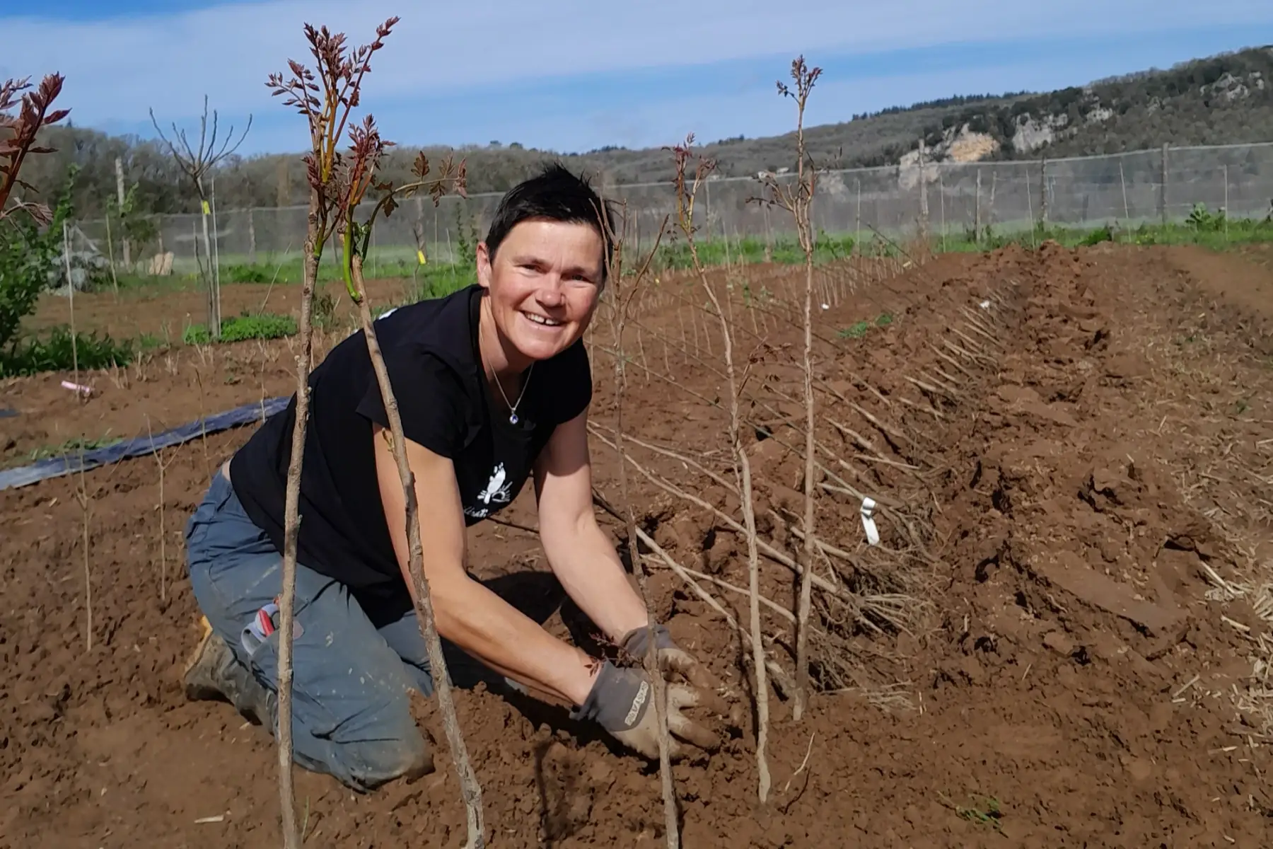 Des Racines et des Fruits