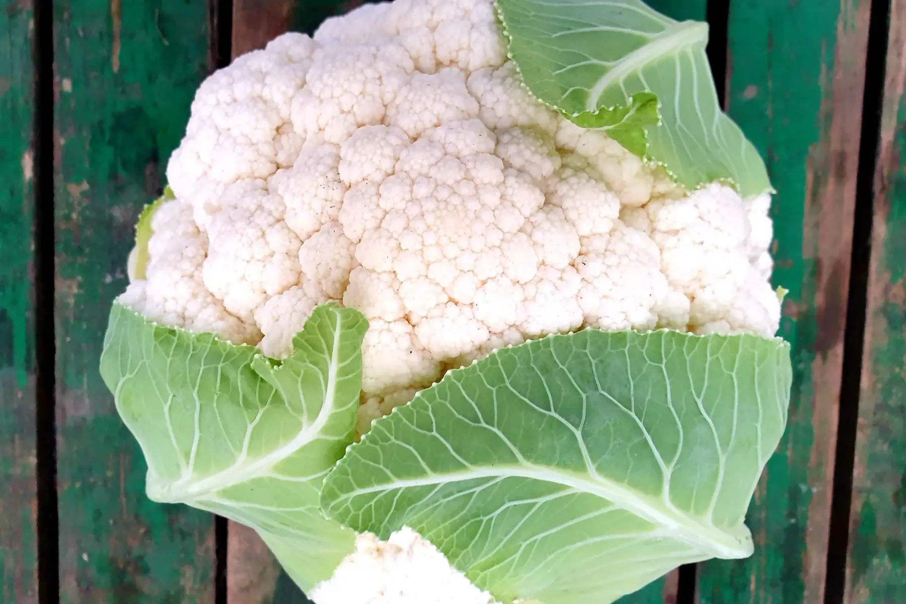 chou fleur