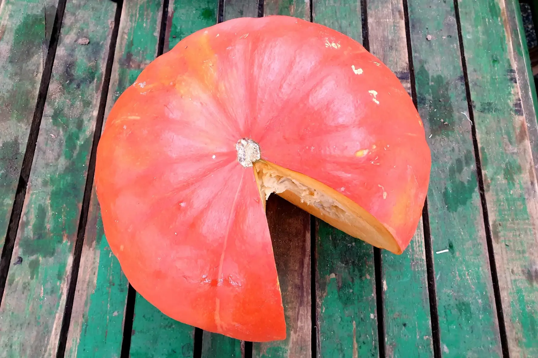 courge - potiron - rouge vif d'etampes - à la coupe