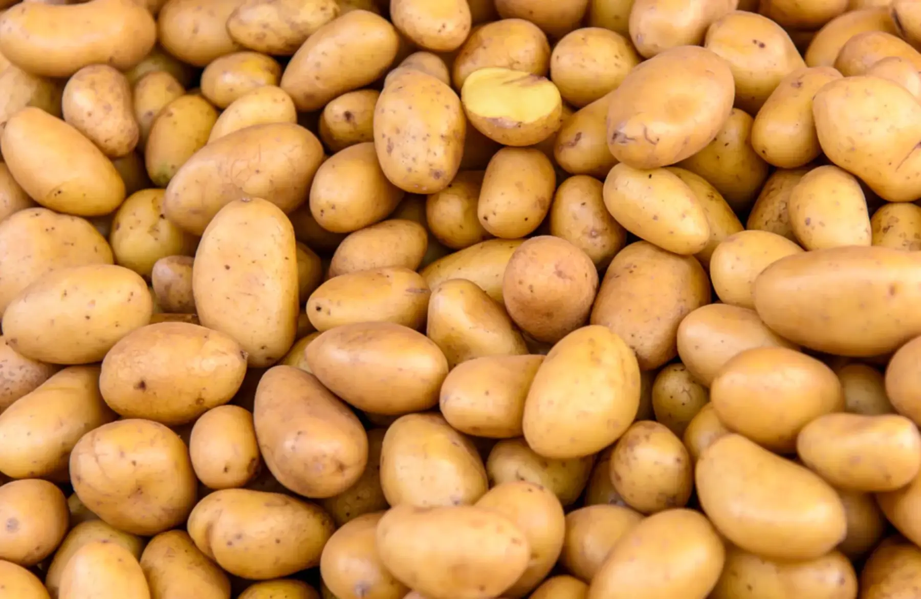 pommes de terre alliance