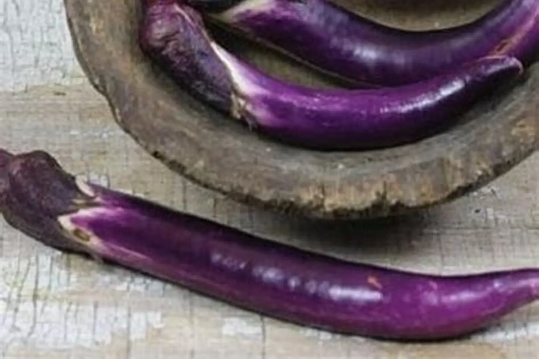 aubergine japonaise
