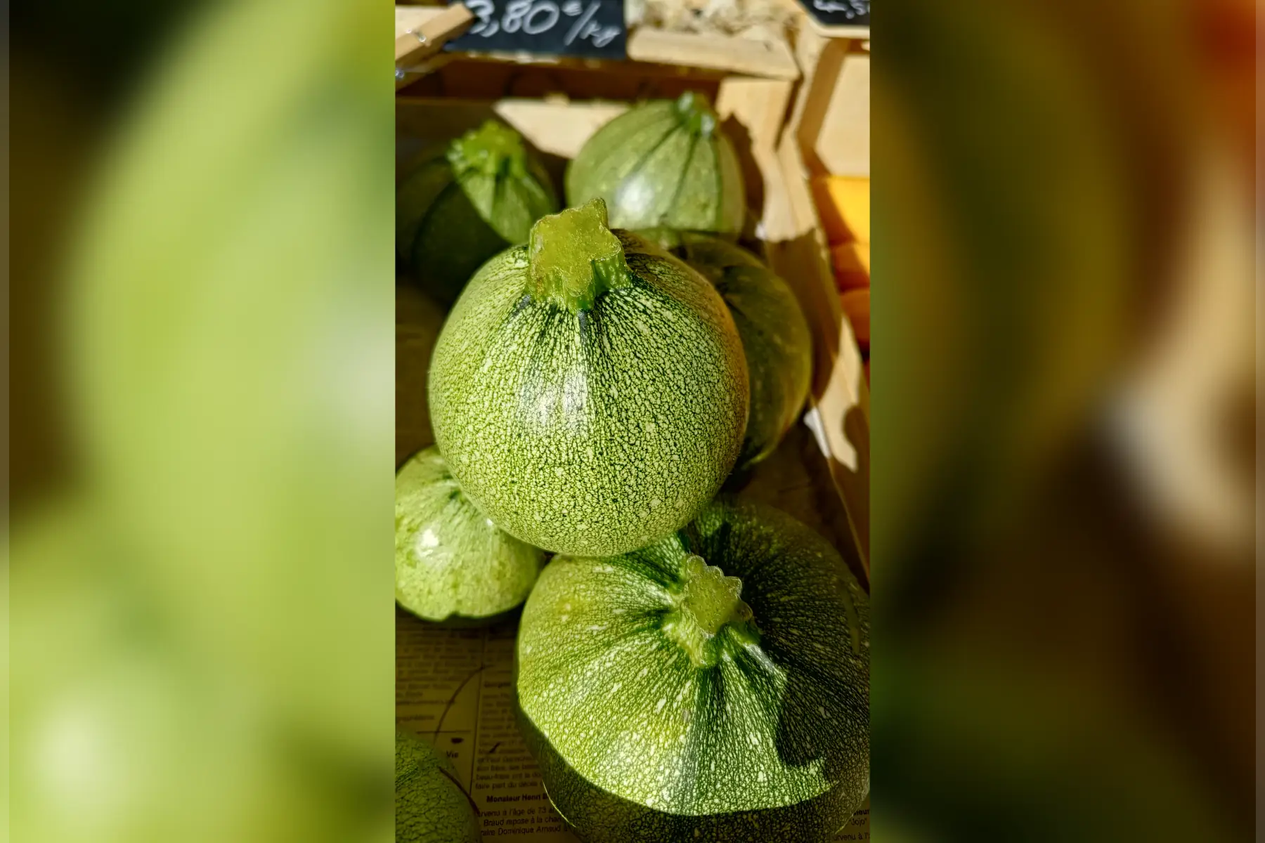 courgette ronde