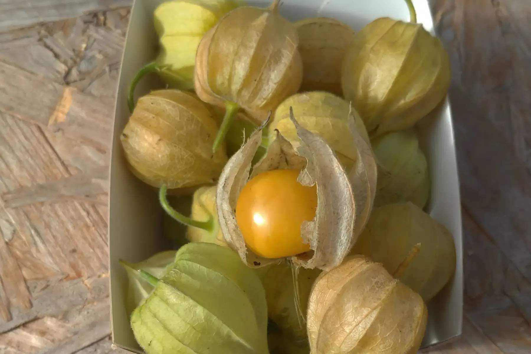 physalis mélange (barquette)