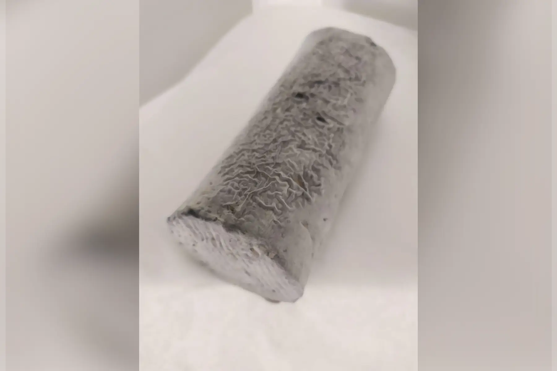 bûche de chèvre cendrée