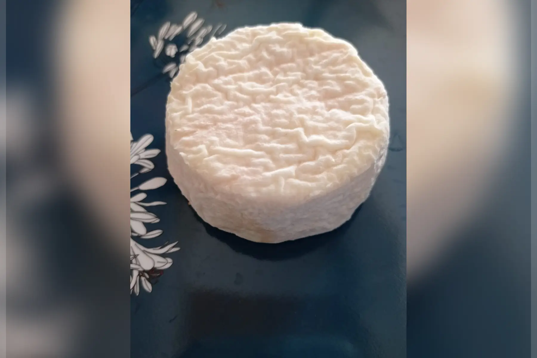 crottin de chèvre nature demi frais