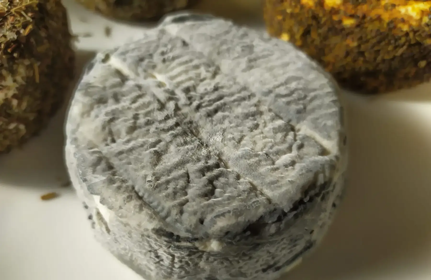 crottin de chèvre cendré