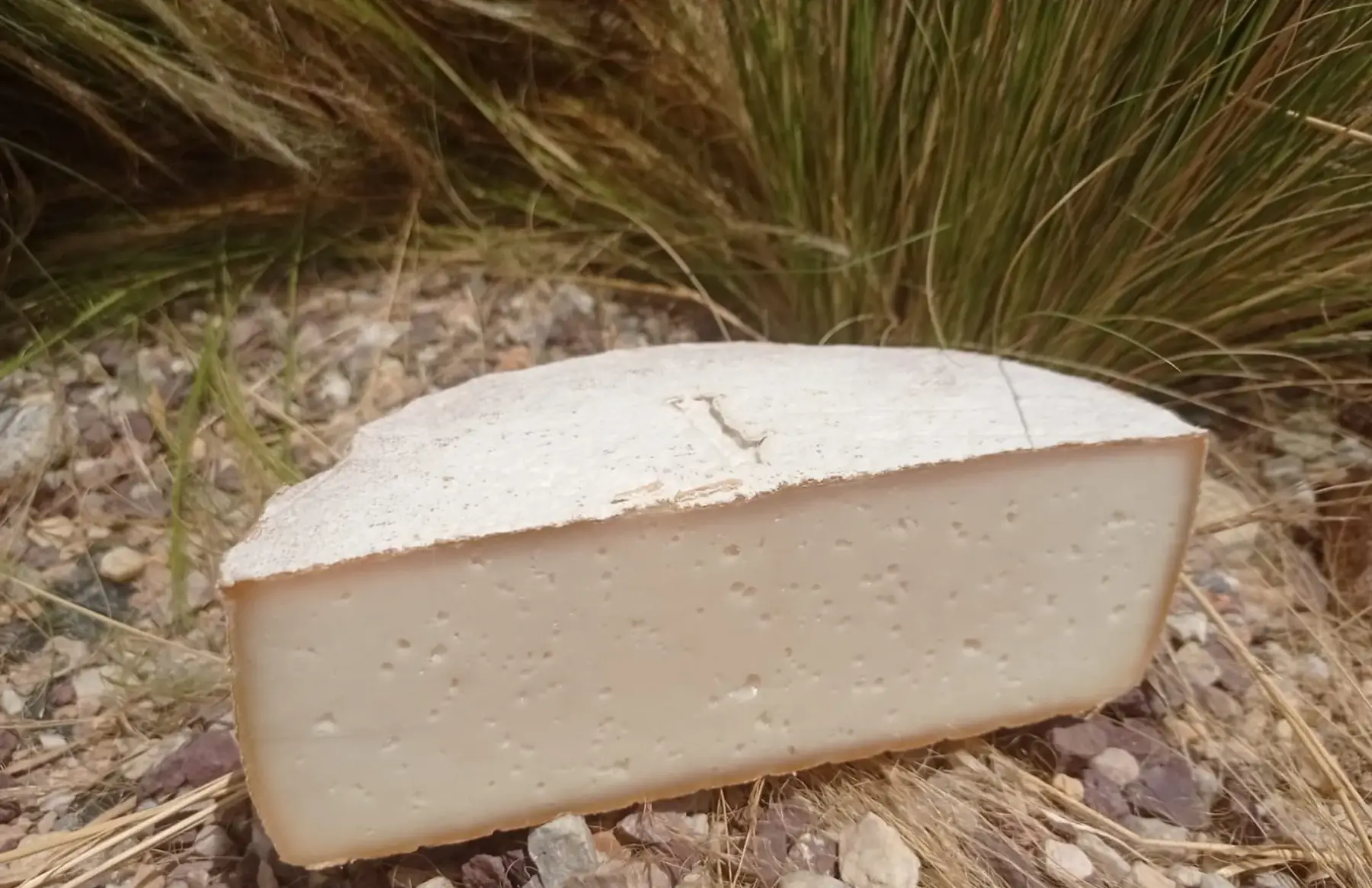 tomme nature (jeune ou affinée)