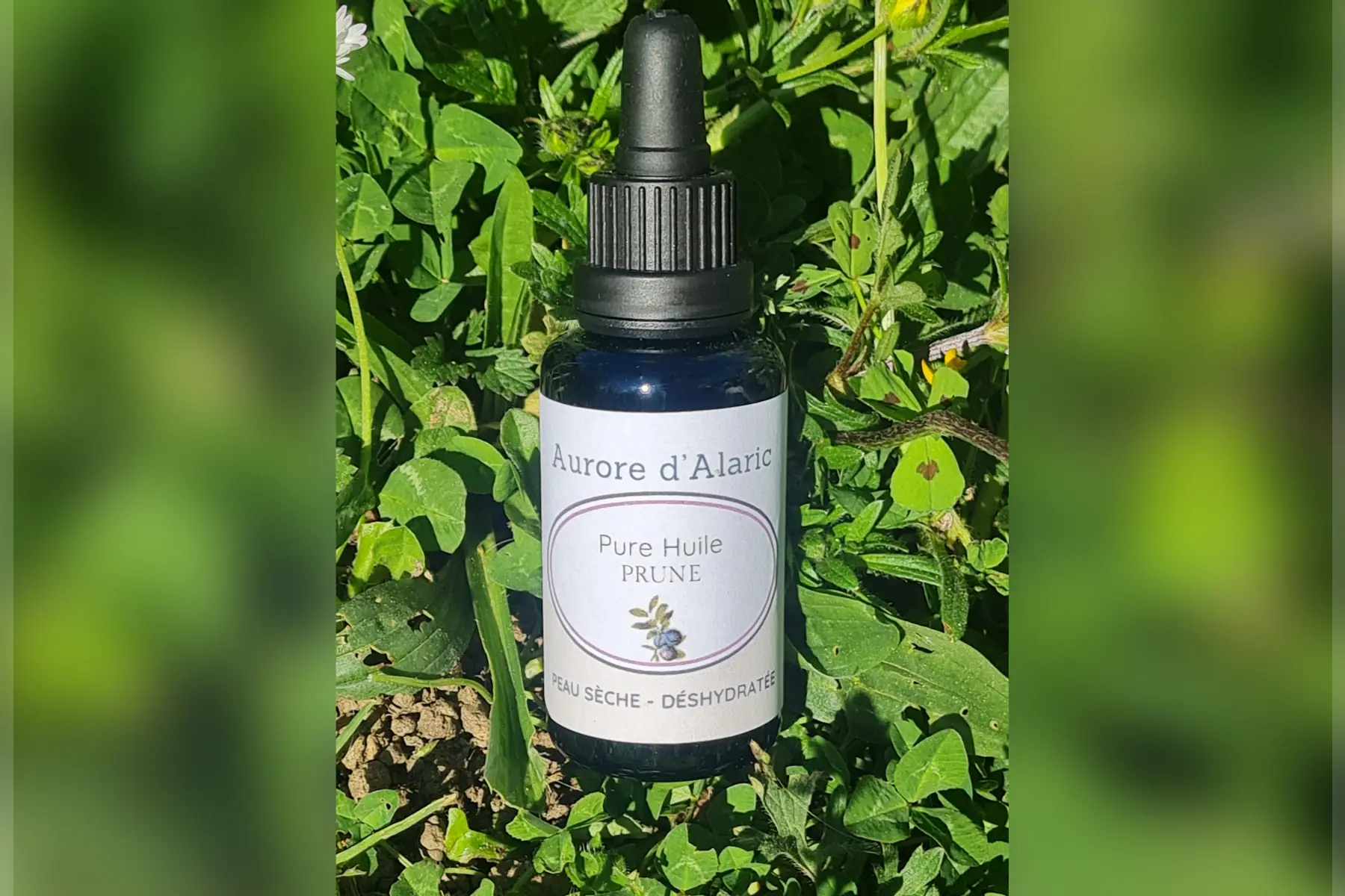 Huile Visage Prune Bio
