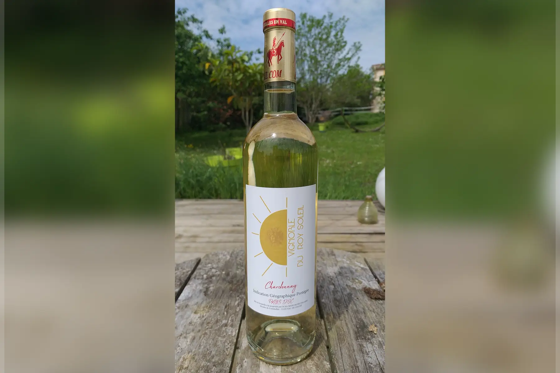 blanc roy soleil igp pays d'oc chardonnay