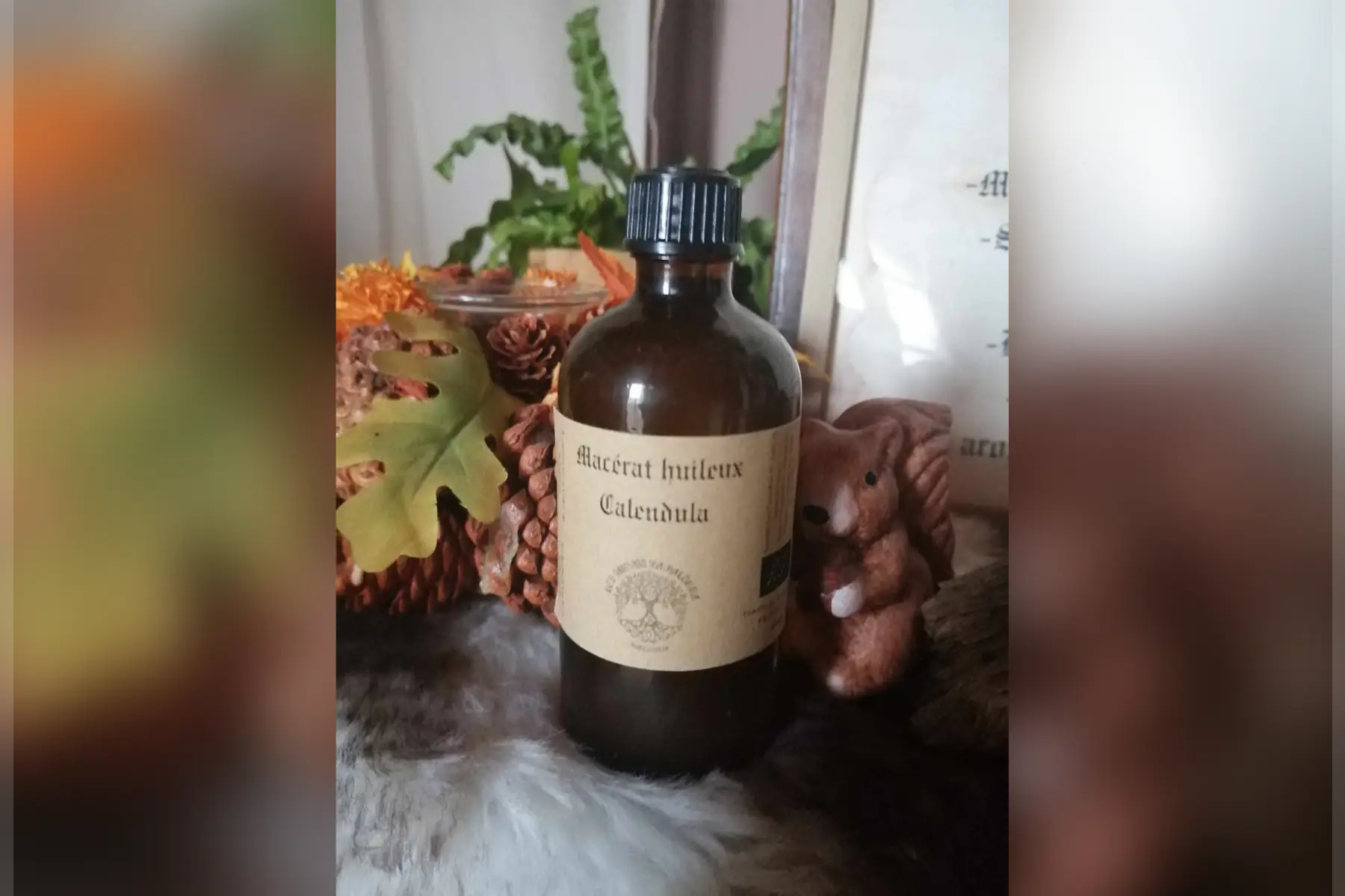 macérat huileux calendula