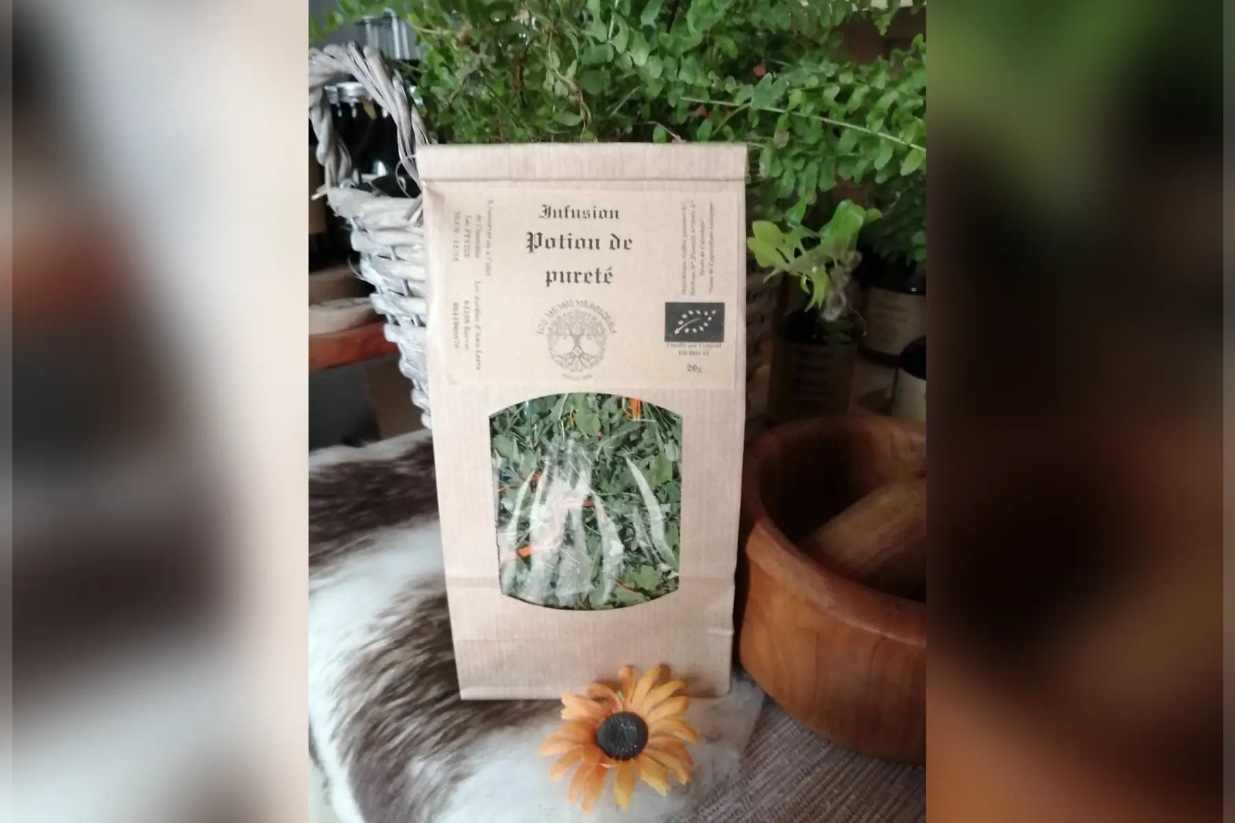 infusion "potion de pureté"