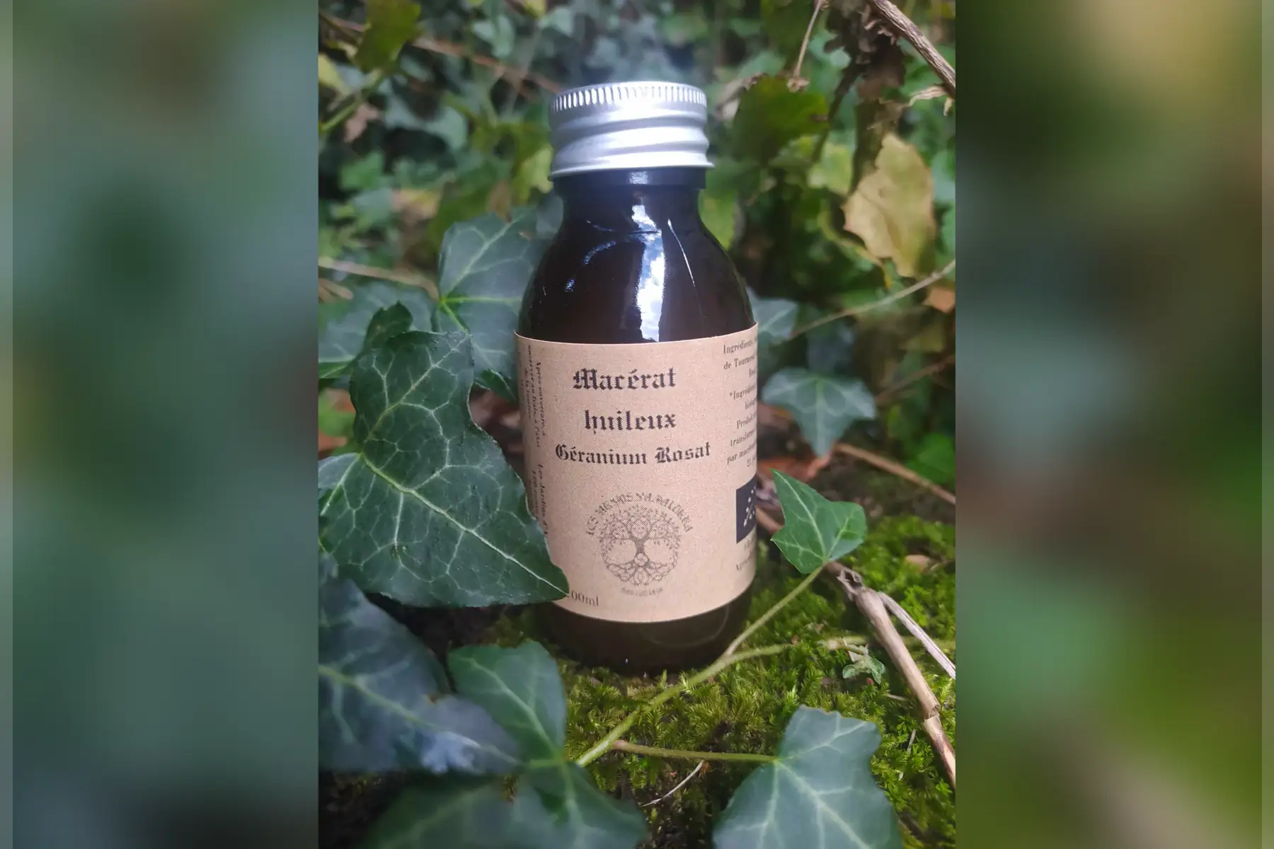 macérât huileux géranium rosat