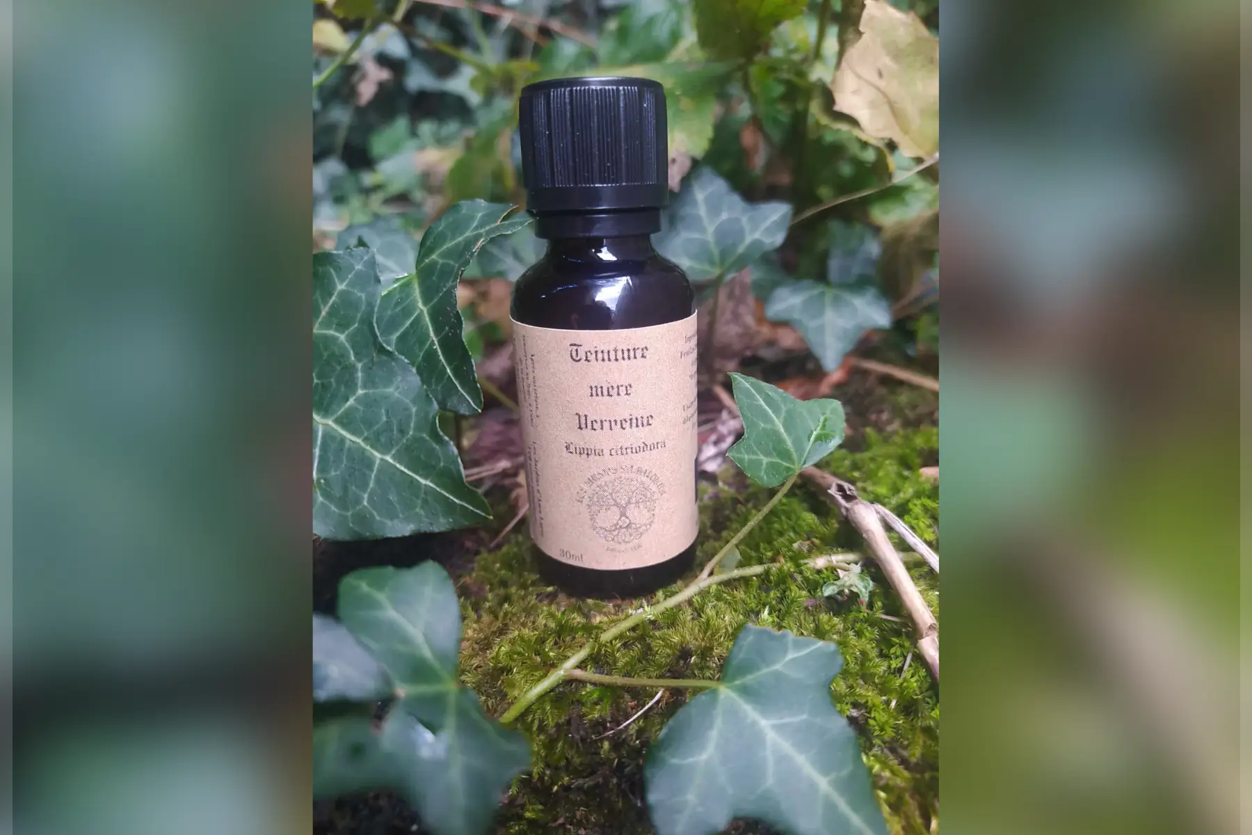 teinture mère verveine citronnée (lippia citriodora)