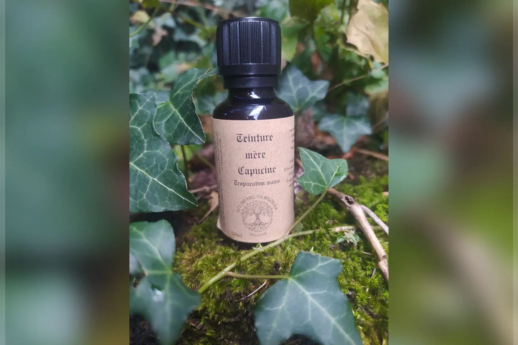 teinture mère capucine (tropaeolum majus)