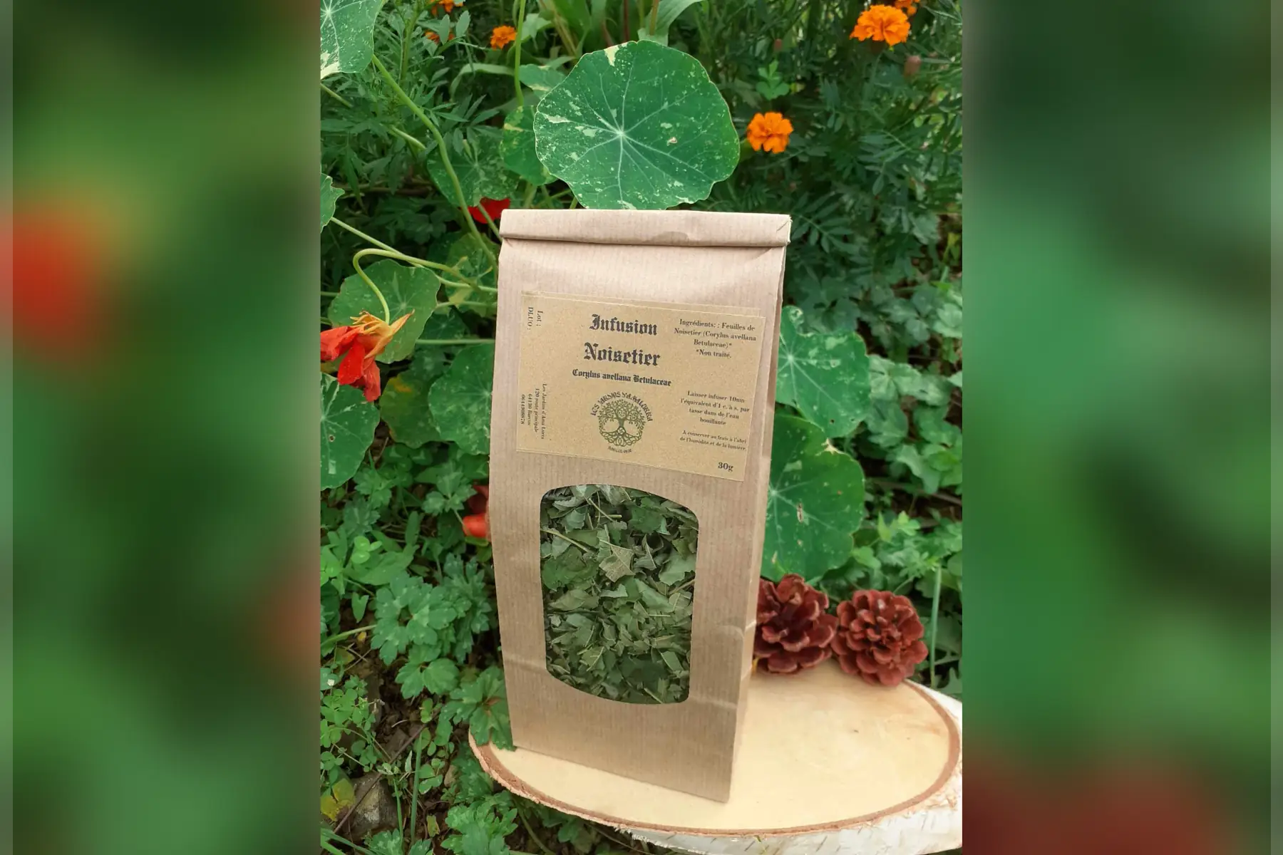 infusion noisetier