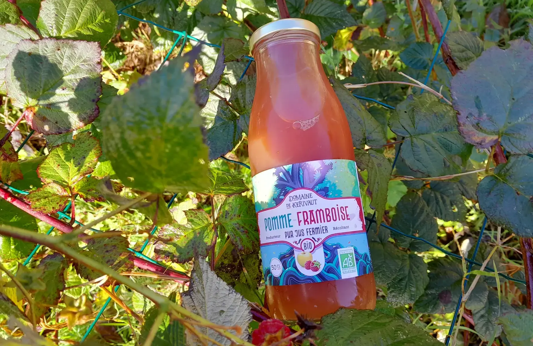 jus de pomme-framboise bio 50cl