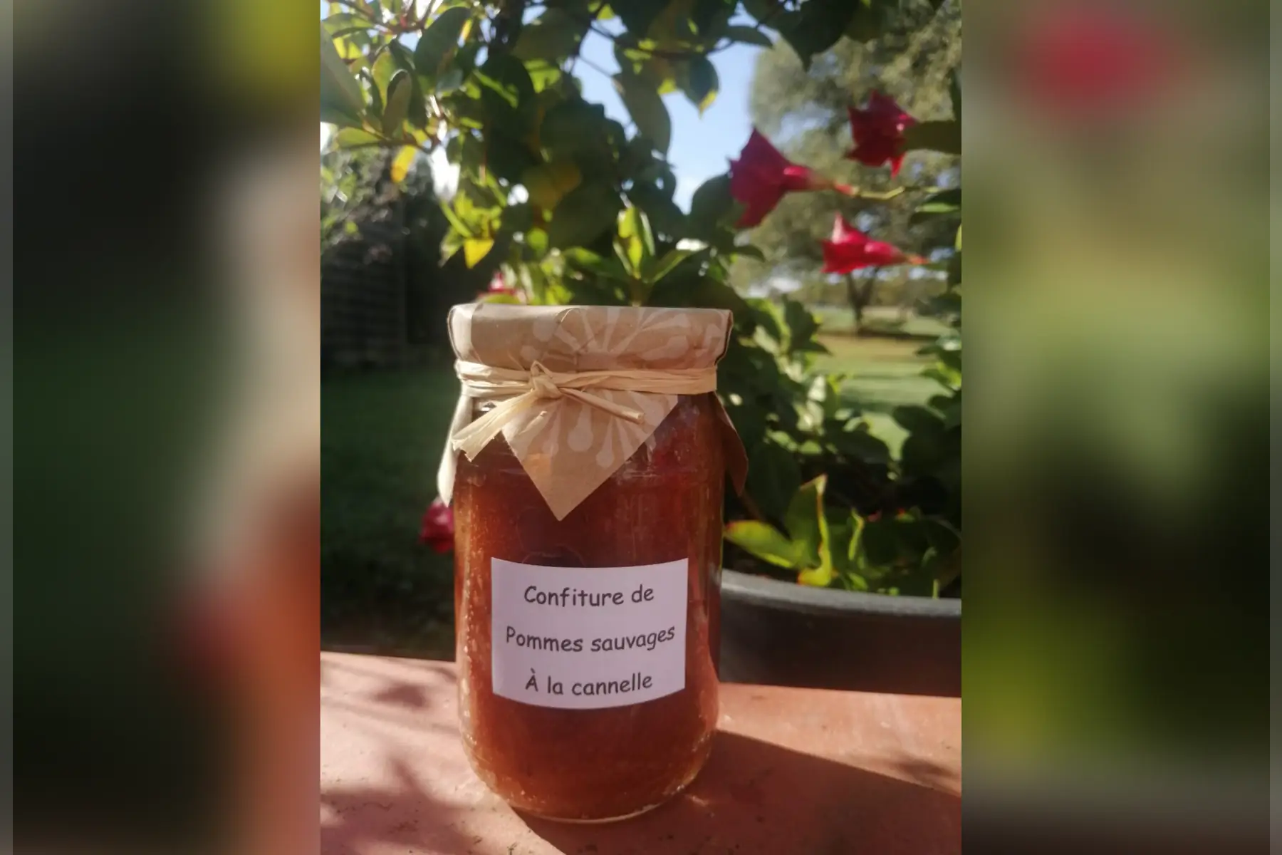 confiture de pommes sauvages à la cannelle