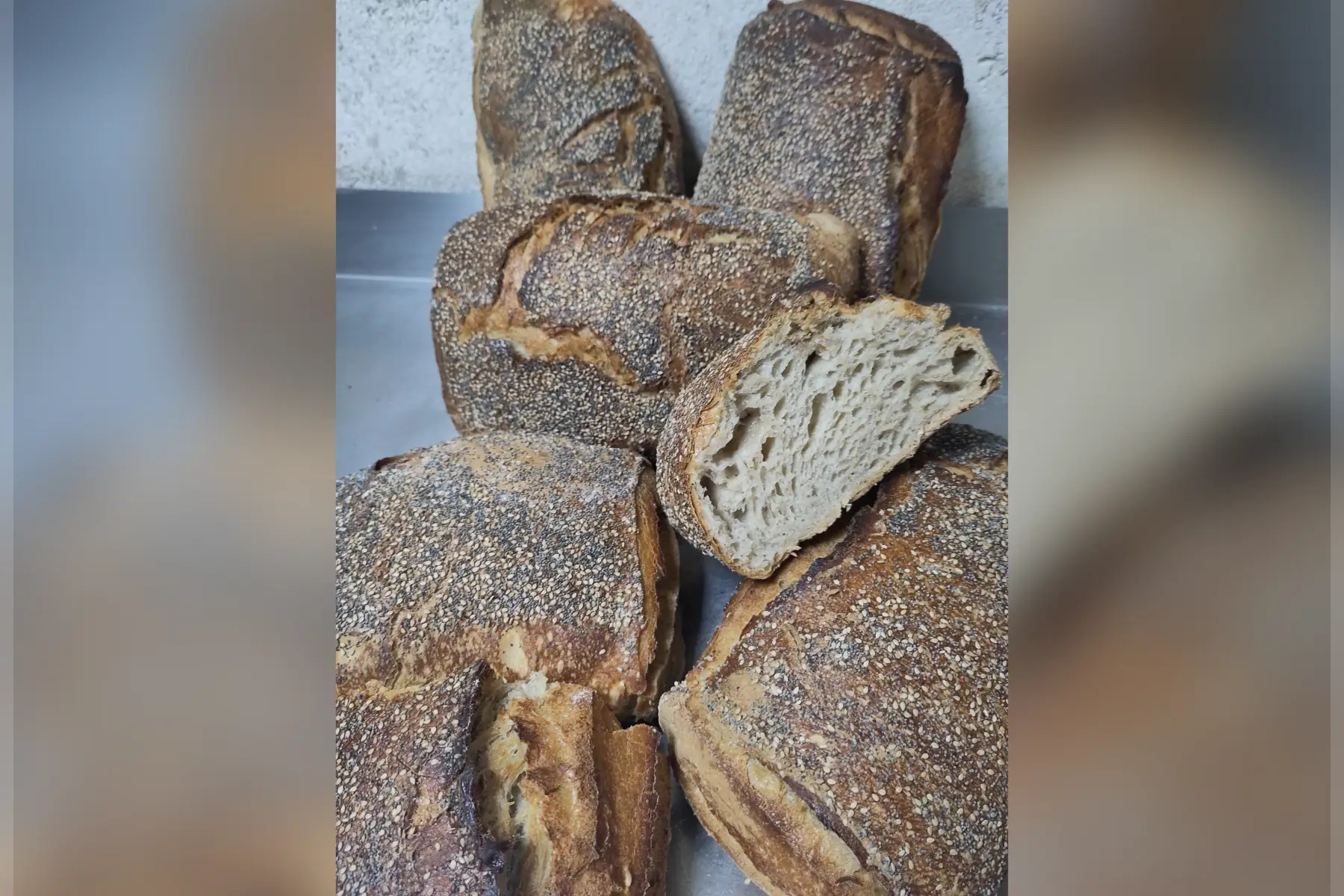 pavé sésame/pavot (~1kg)