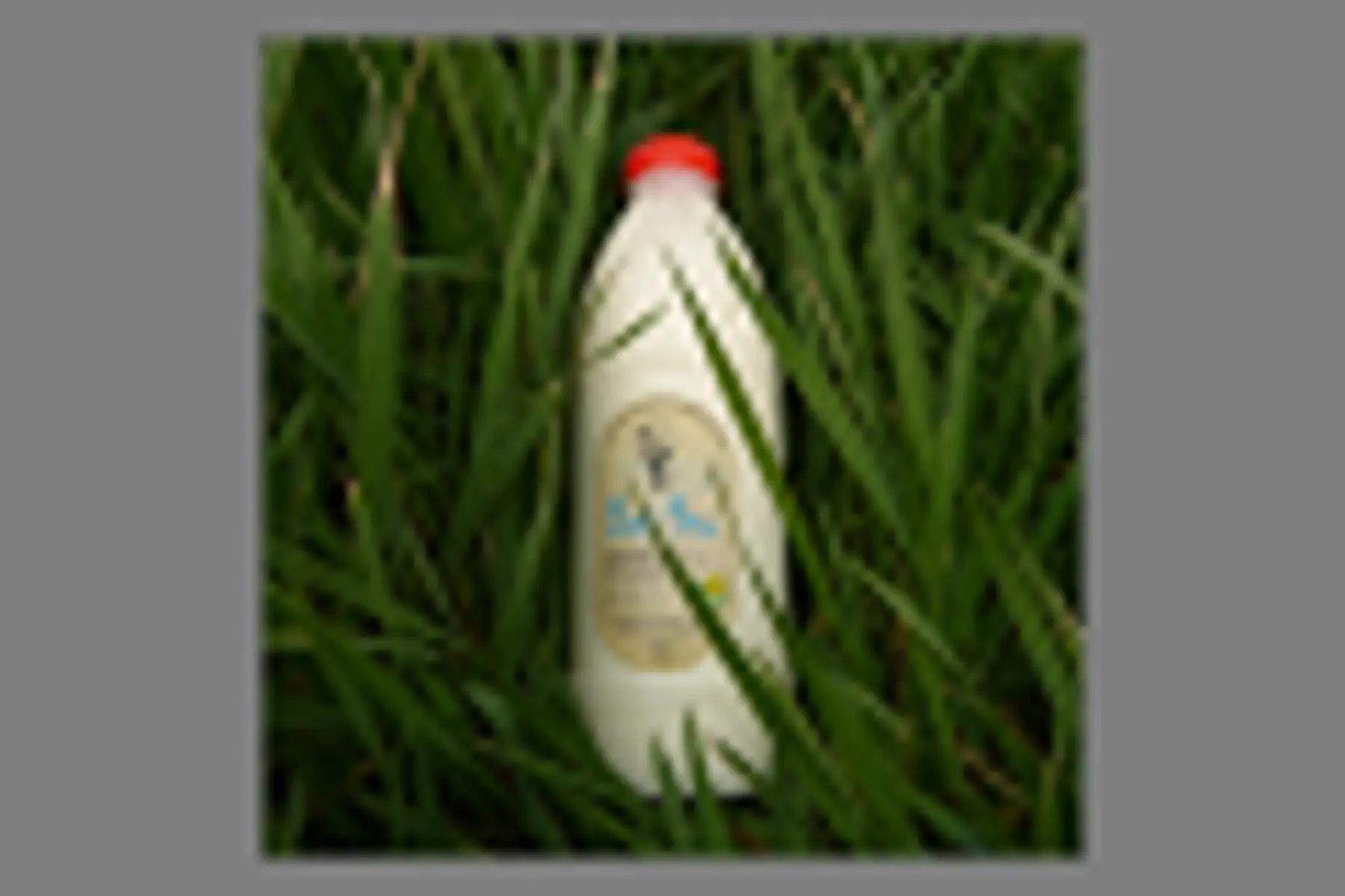 lait cru entier bio 1l