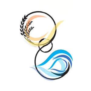 Pain au levain Cuit au feu de bois