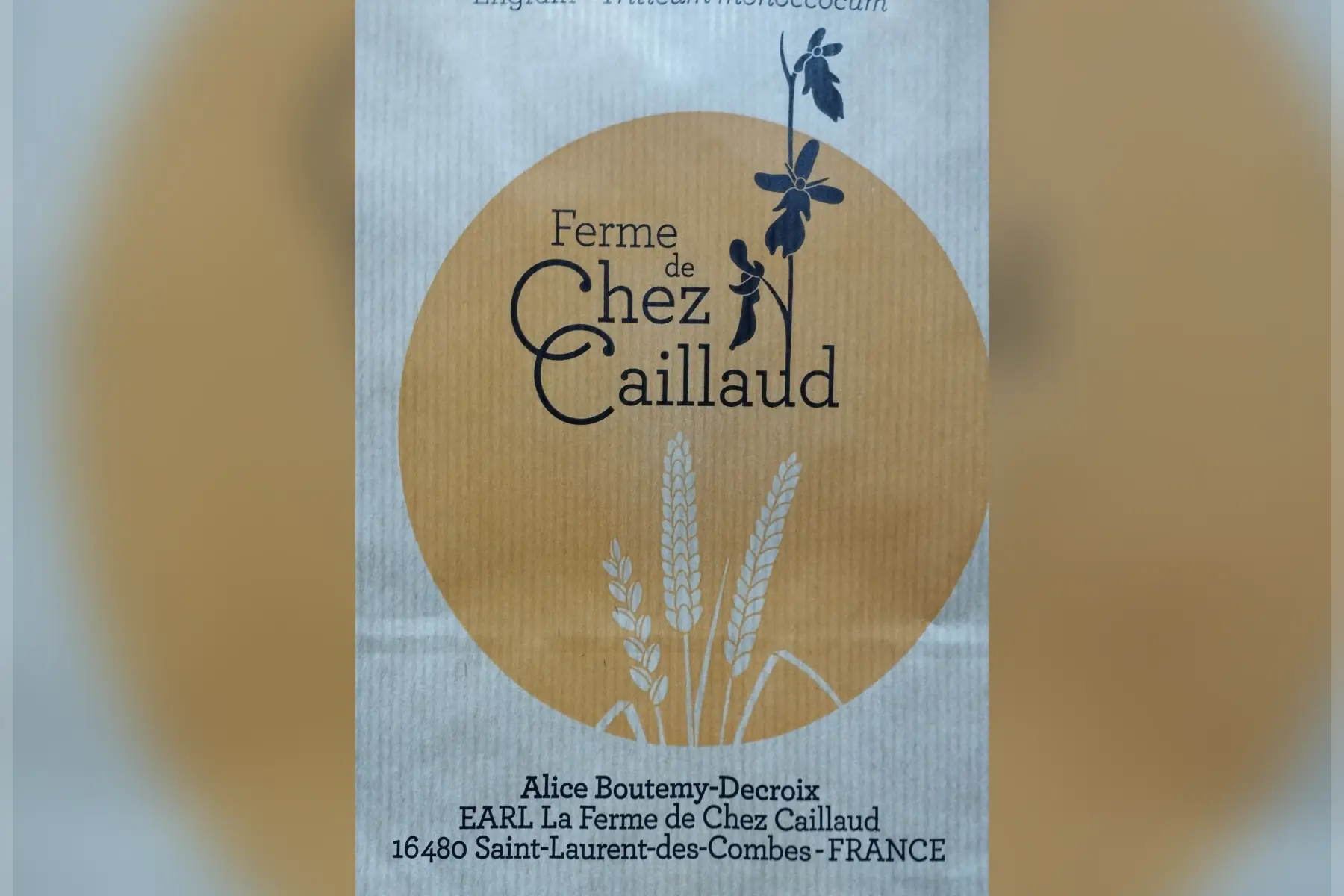 farine de grand épeautre t80 - 3 kg