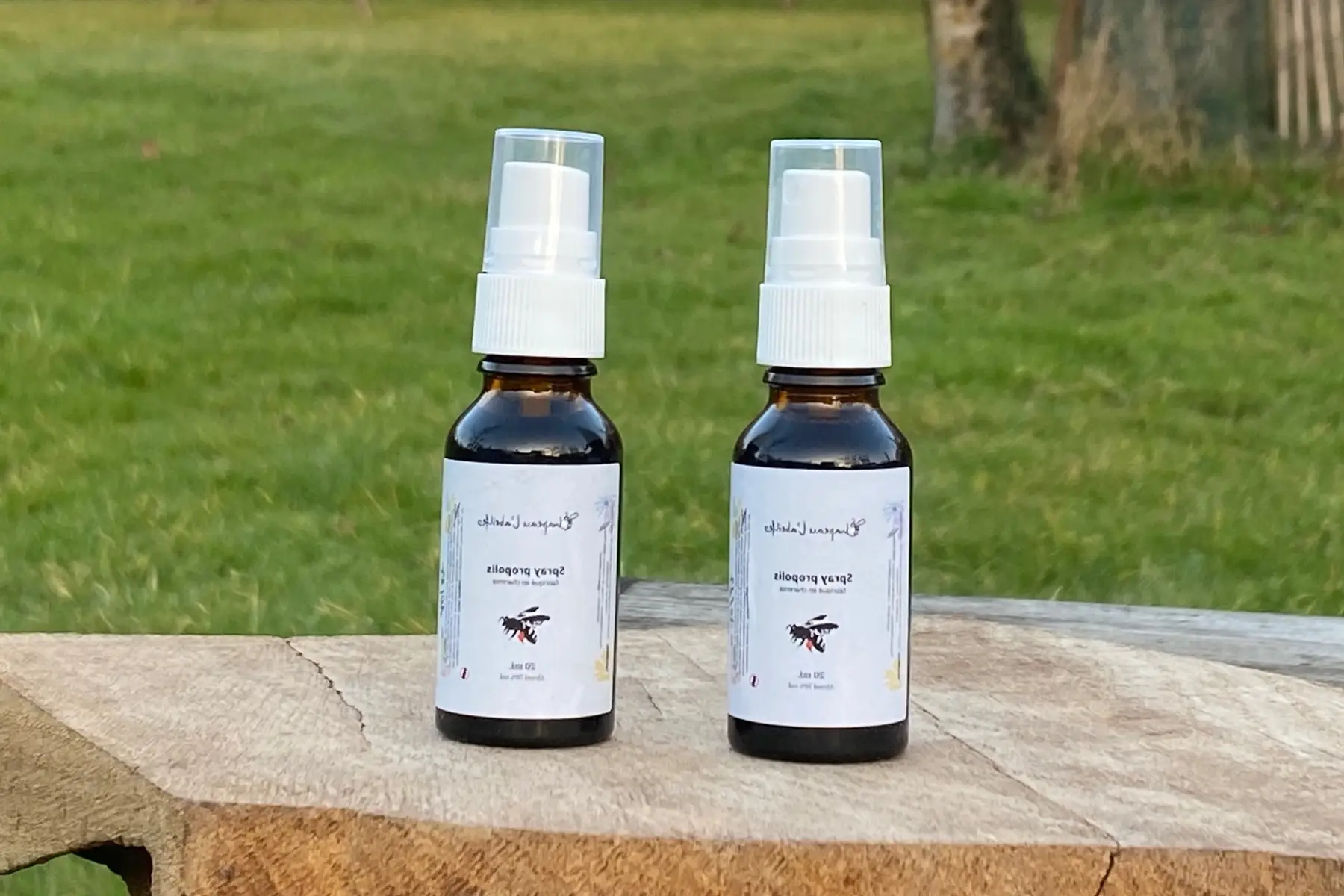 Teinture mère de propolis en spray 20mL