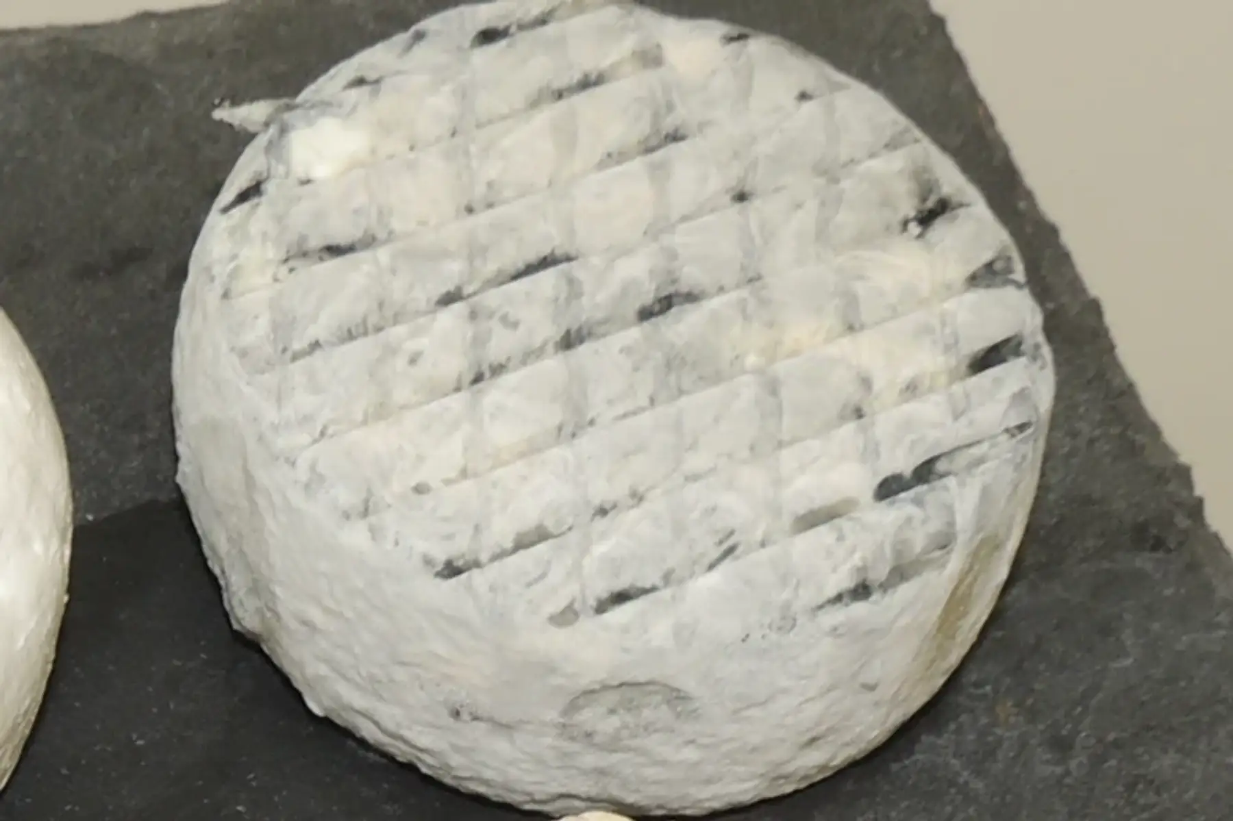 rond de chèvre cendré