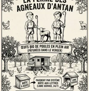 didier coolens