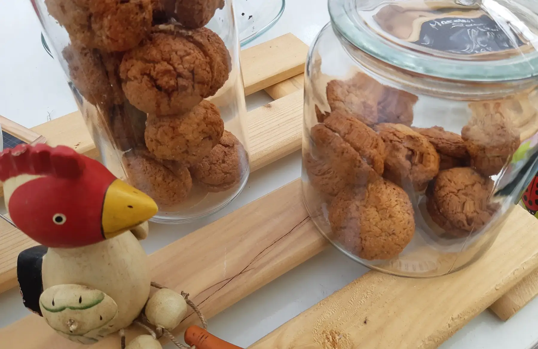 macarons à l'ancienne au miel de sologne x 10