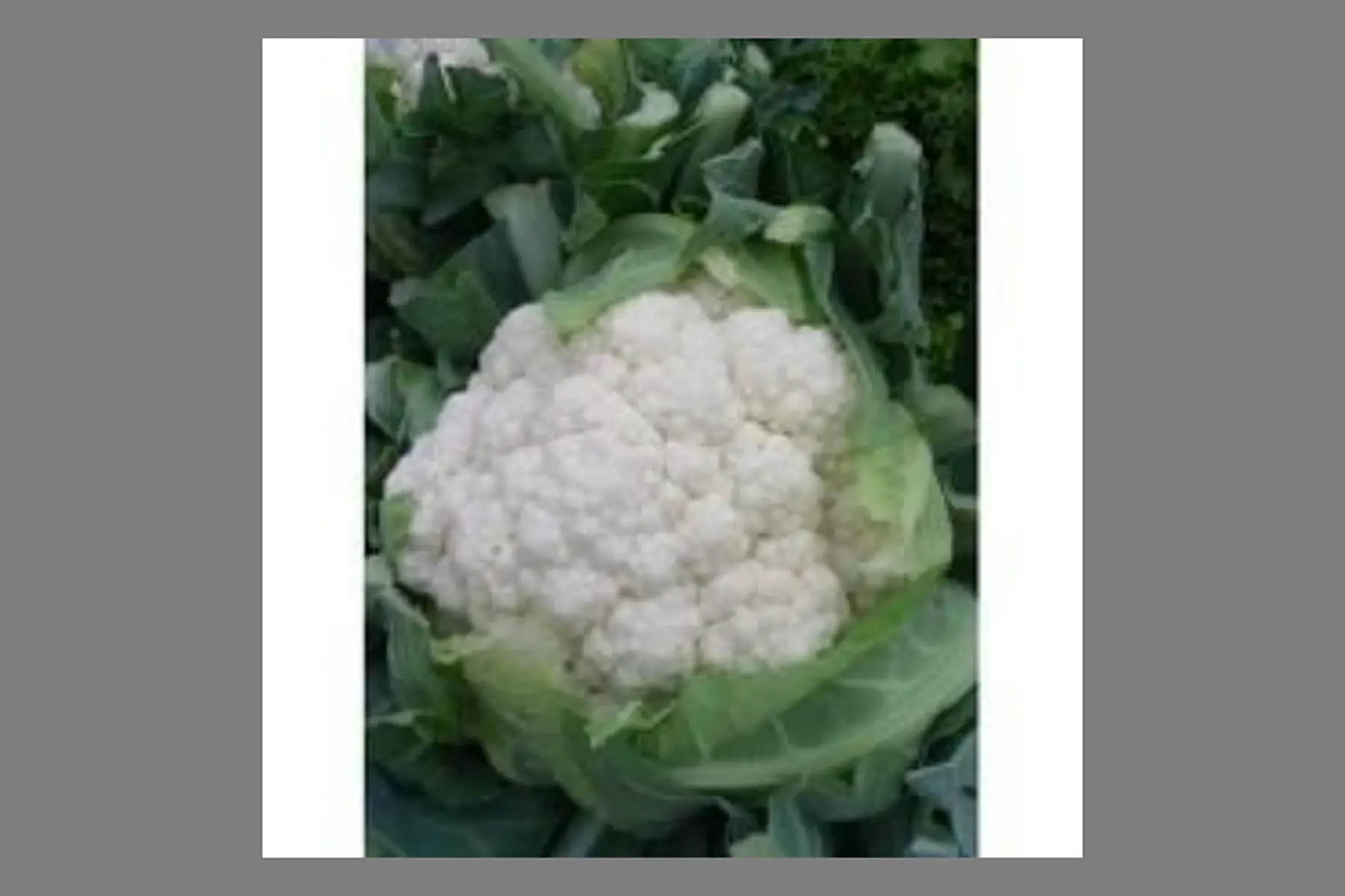 Chou fleur - moyen (prix réajusté selon dispo & poids)