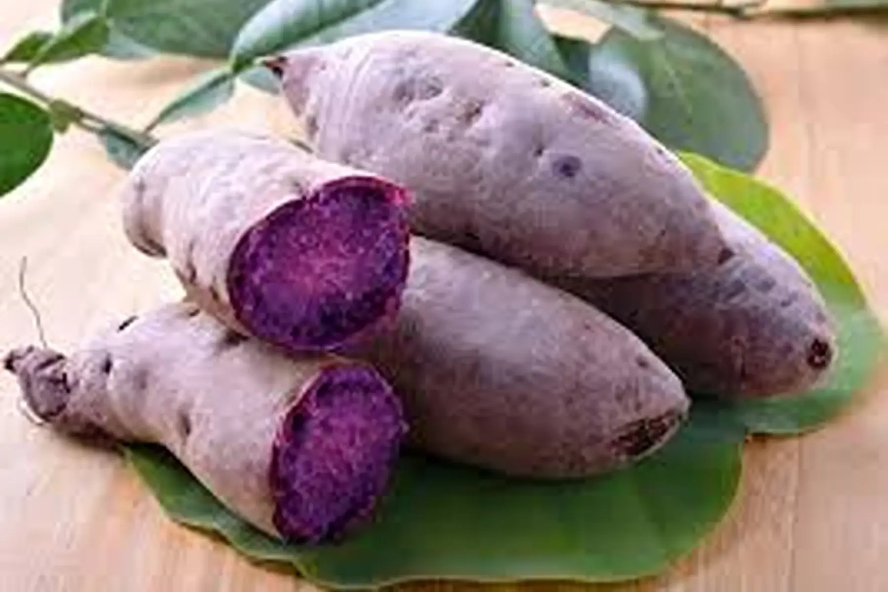 Patate douce pourpre