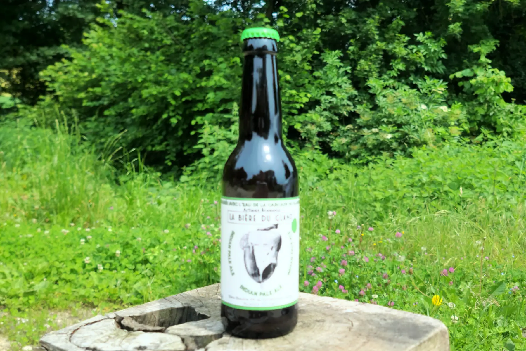 bière ipa