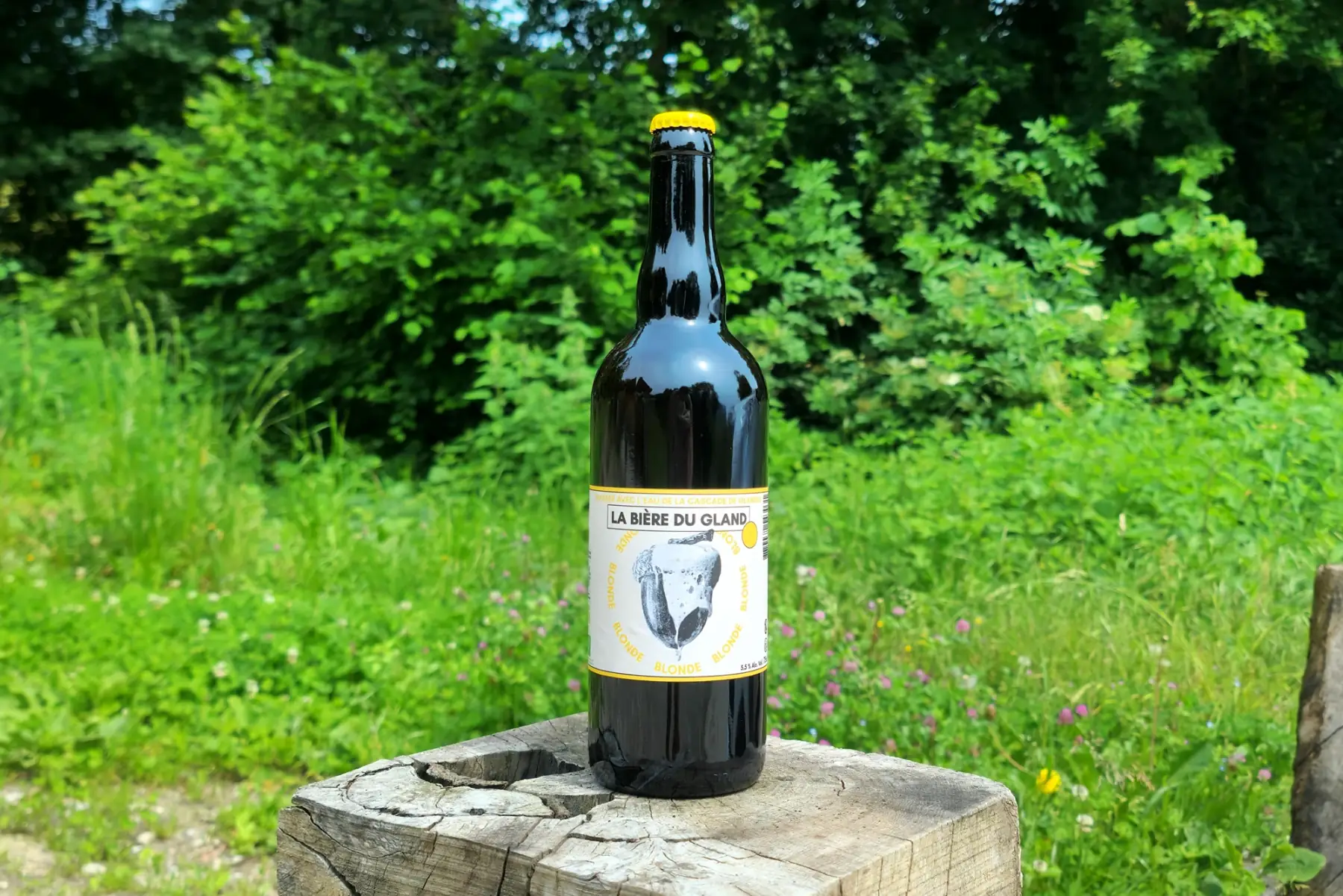 bière blonde