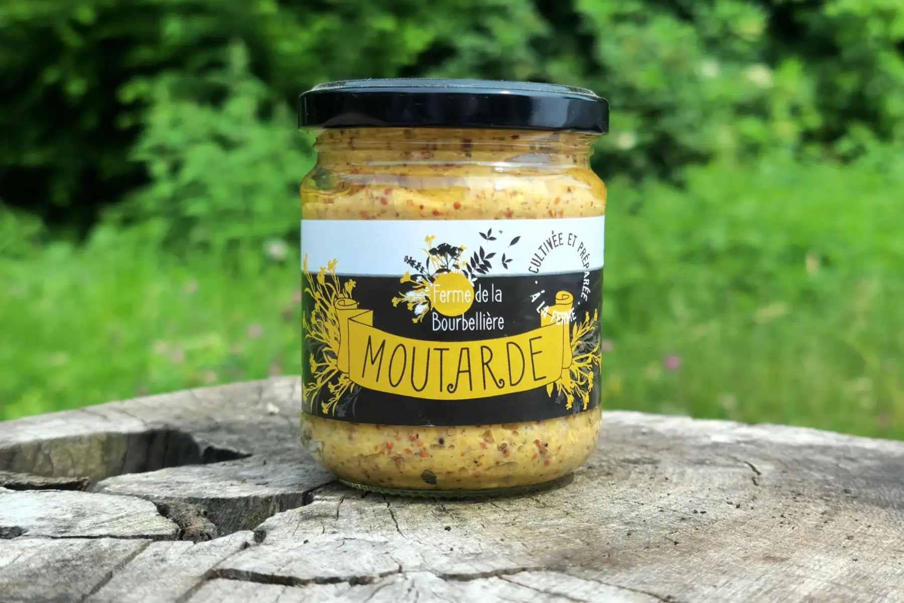moutarde nature