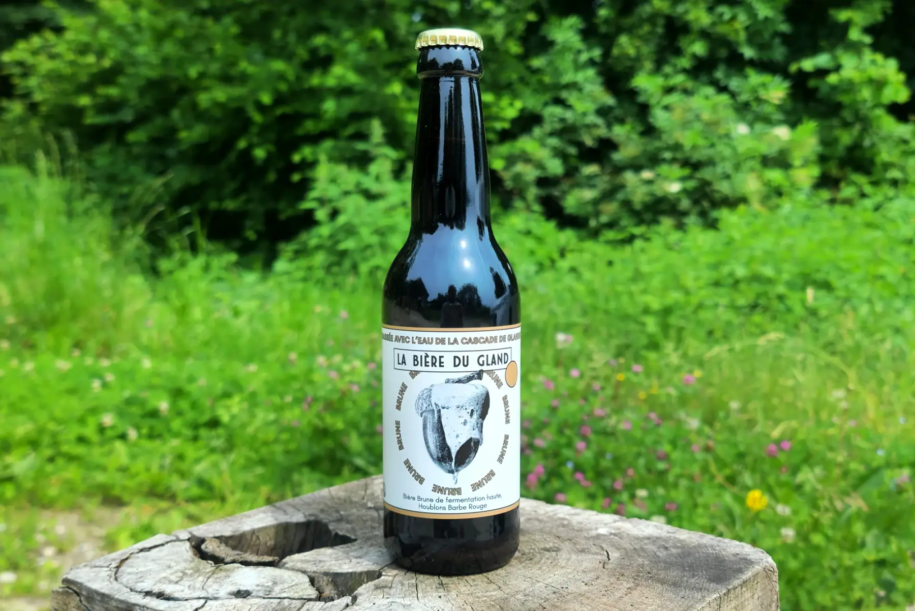 bière brune